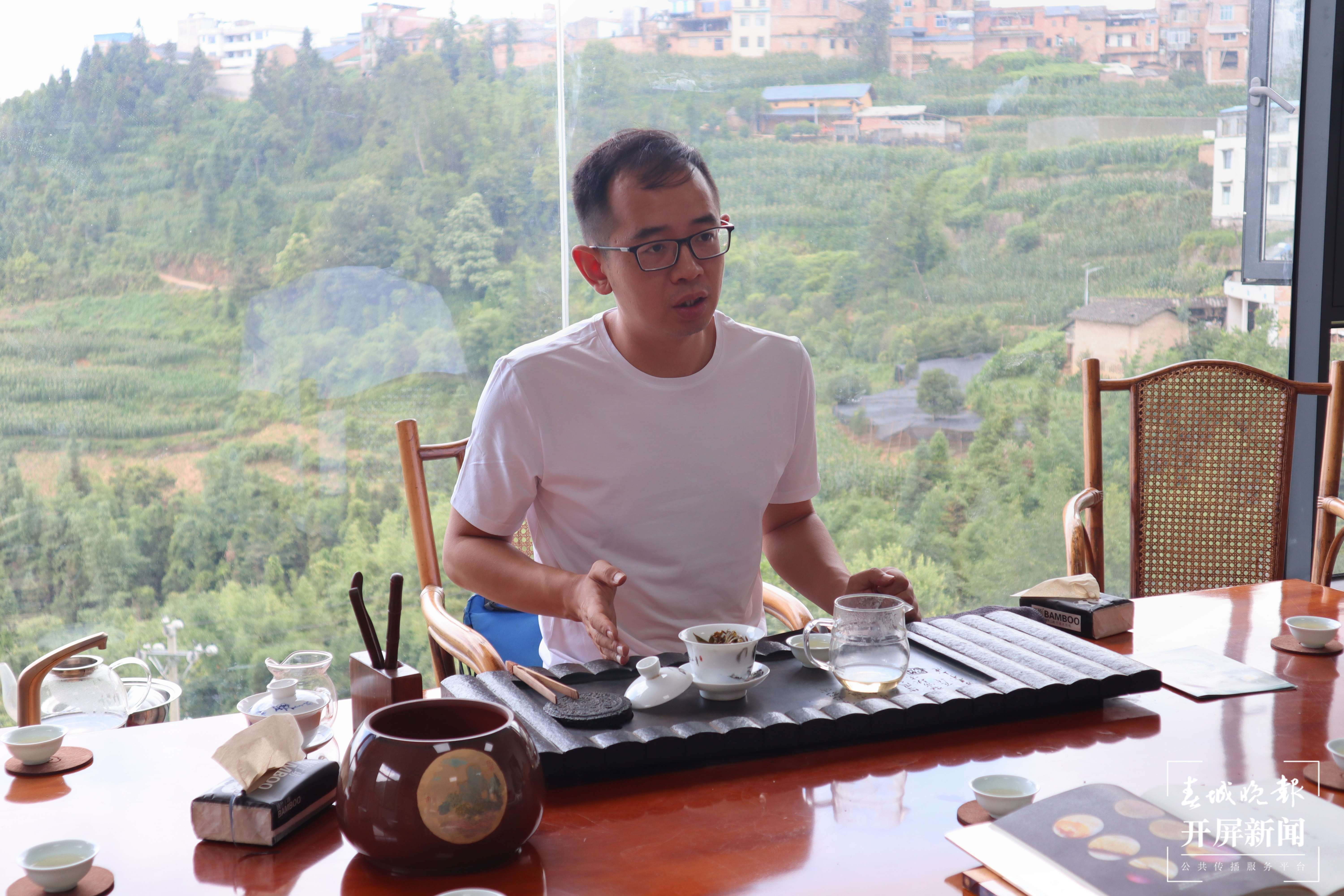 逐梦绿美 好在文山｜杜岑：让文山茶香飘世界