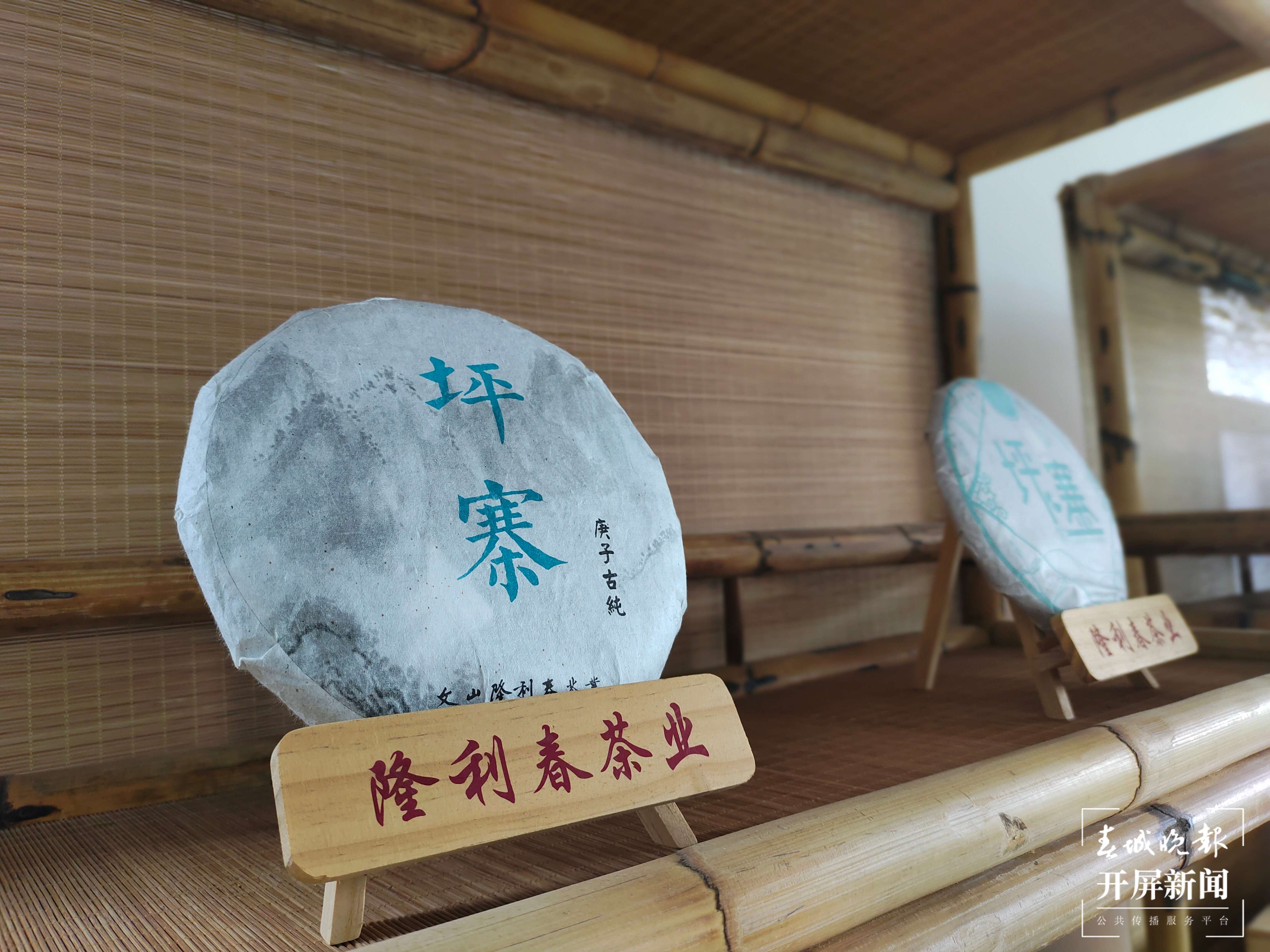 逐梦绿美 好在文山｜杜岑：让文山茶香飘世界