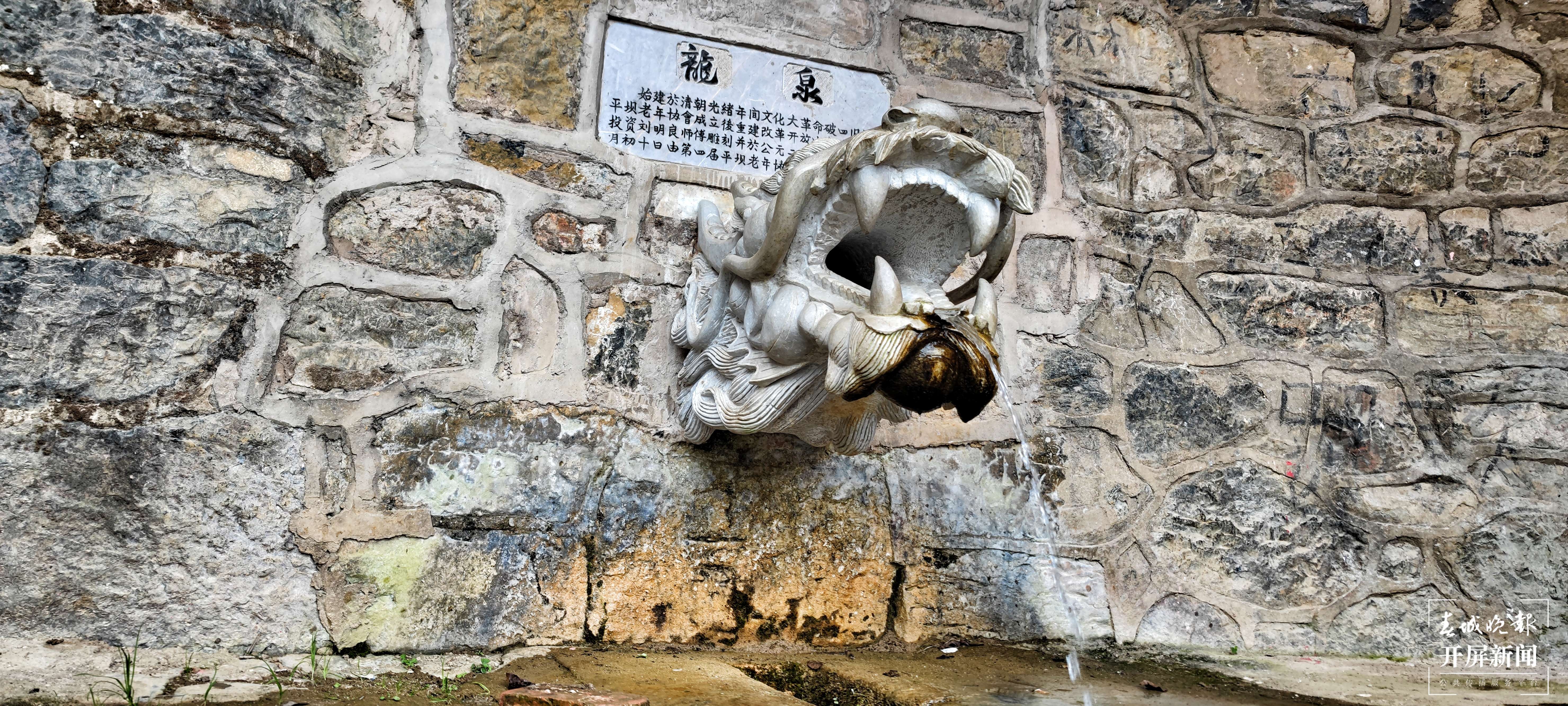 逐梦绿美 好在文山｜行走于“三七花最盛开的地方”——中国三七古镇平坝