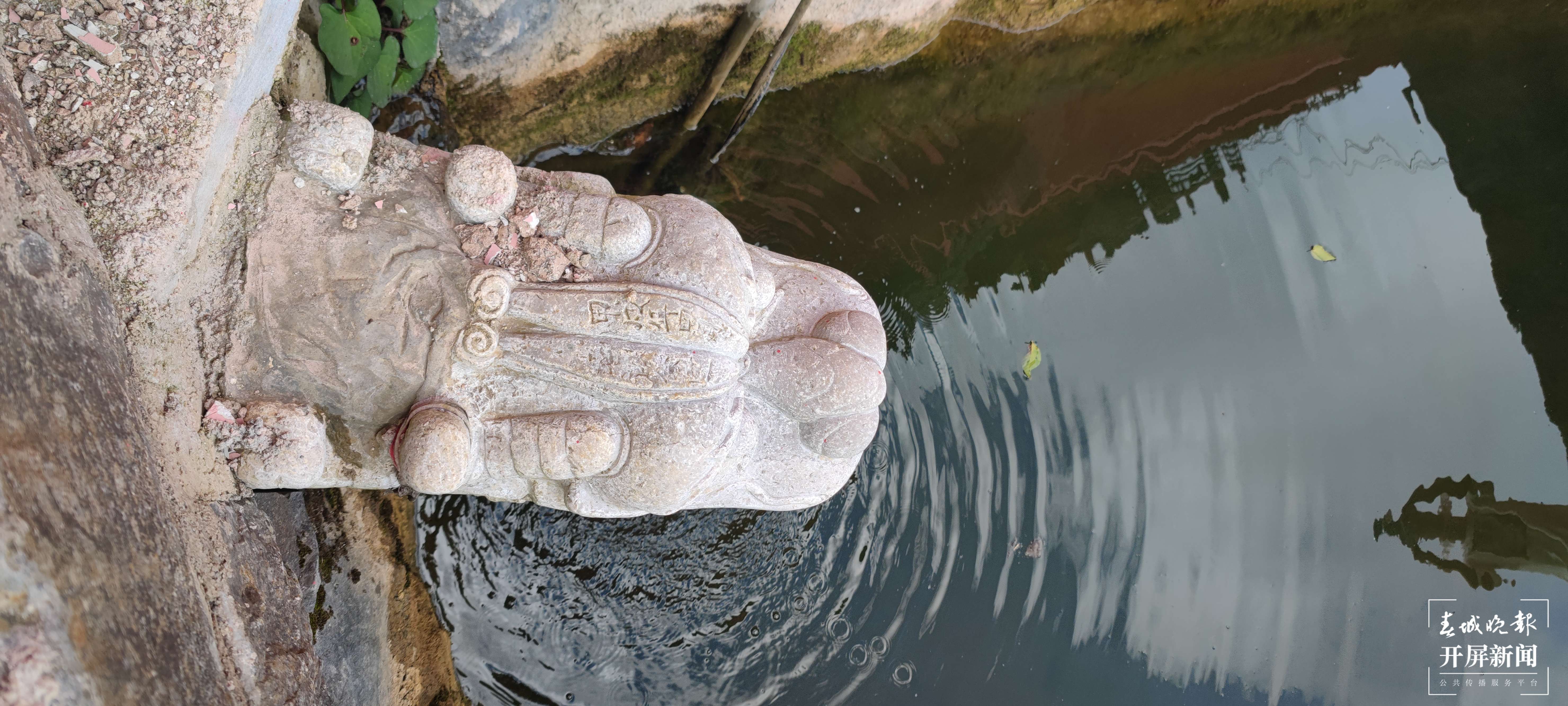 逐梦绿美 好在文山｜行走于“三七花最盛开的地方”——中国三七古镇平坝