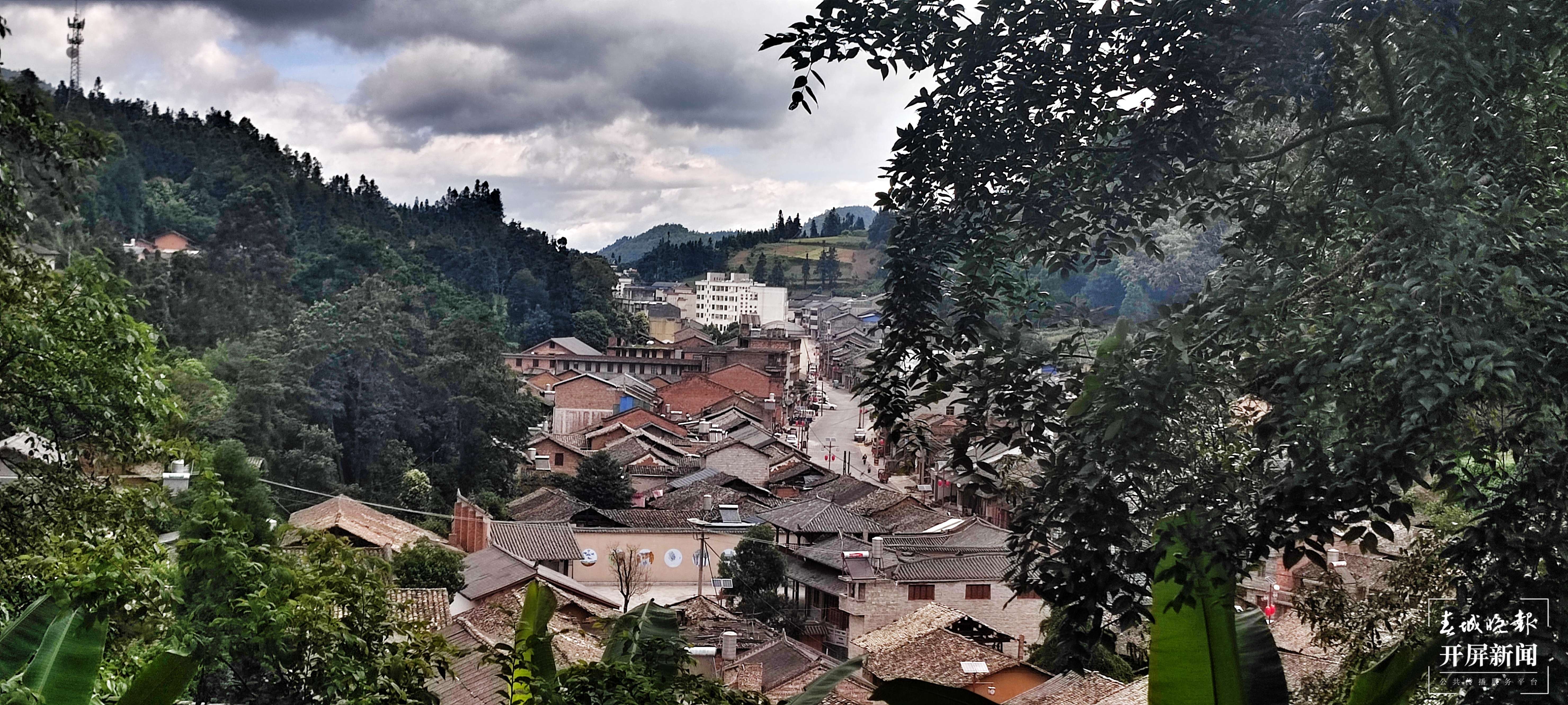逐梦绿美 好在文山｜行走于“三七花最盛开的地方”——中国三七古镇平坝