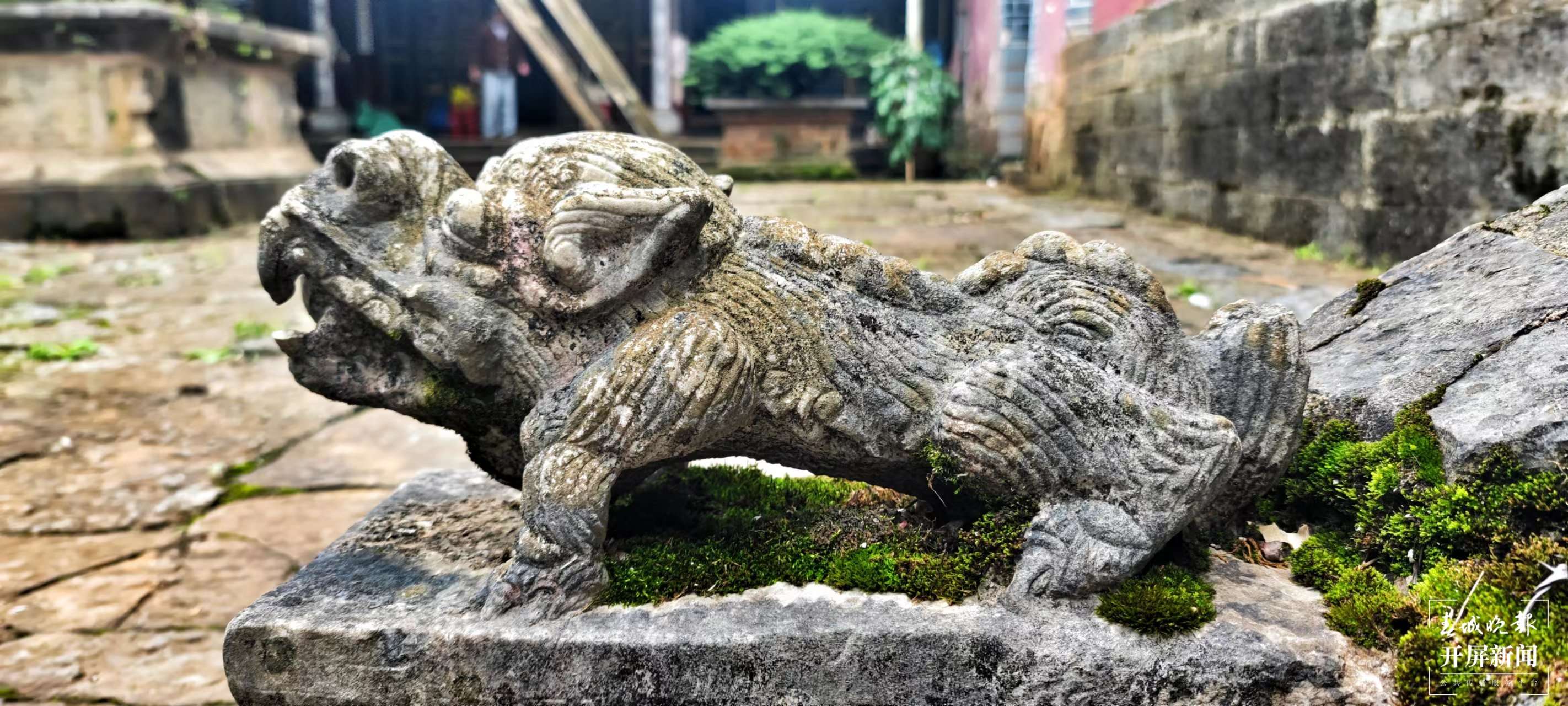 逐梦绿美 好在文山｜行走于“三七花最盛开的地方”——中国三七古镇平坝