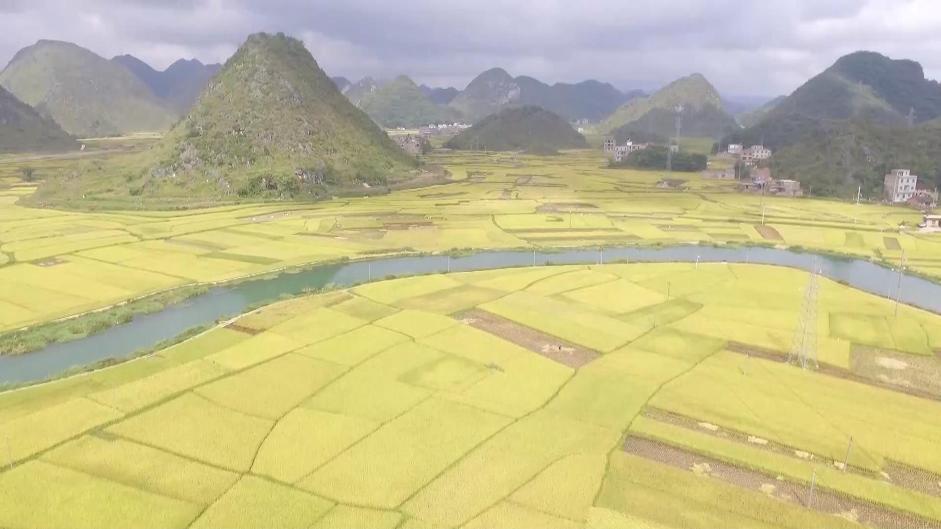 逐梦绿美 好在文山 | 如诗如画的绿色八宝