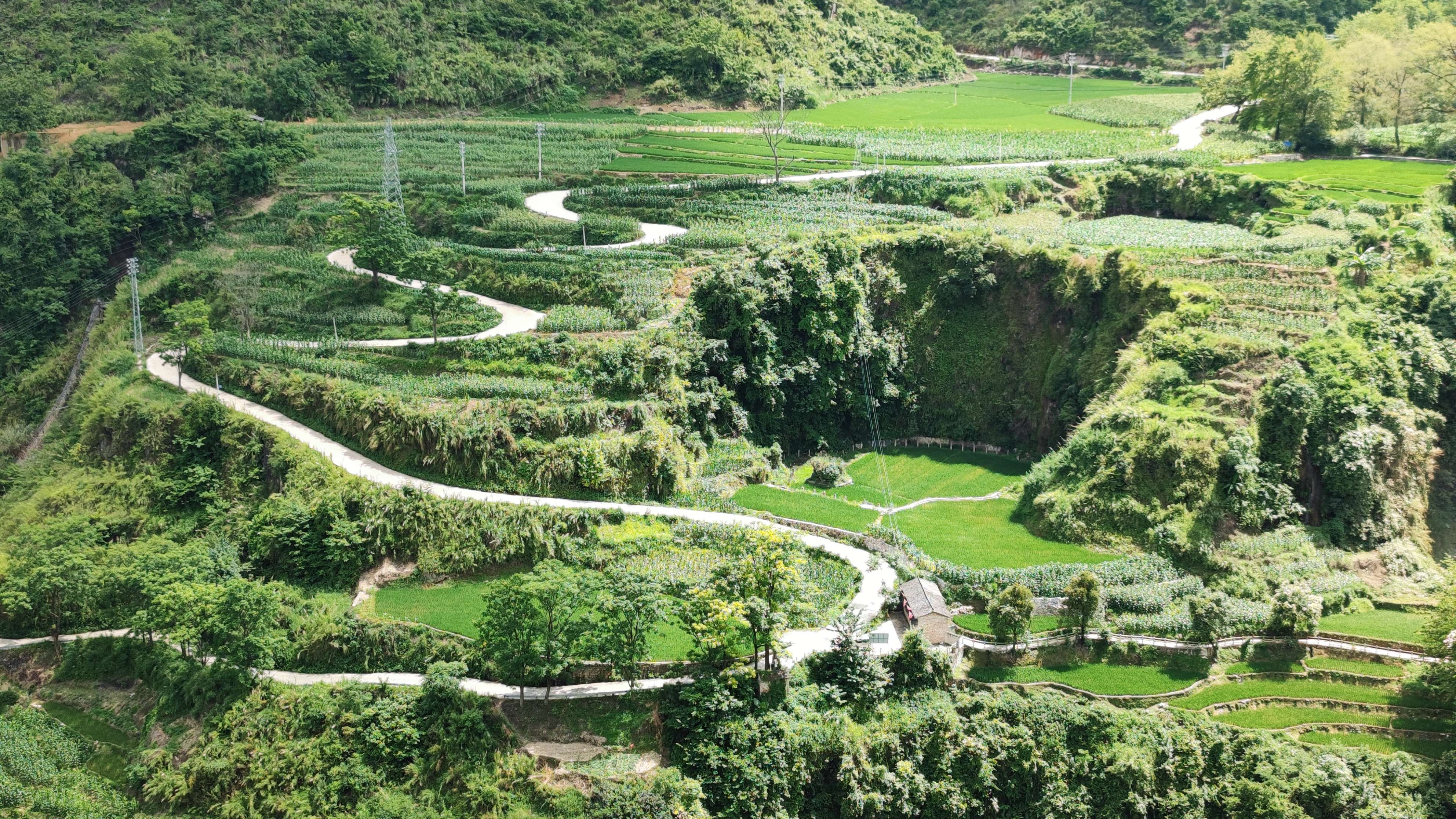逐梦绿美 好在文山 | 如诗如画的绿色八宝