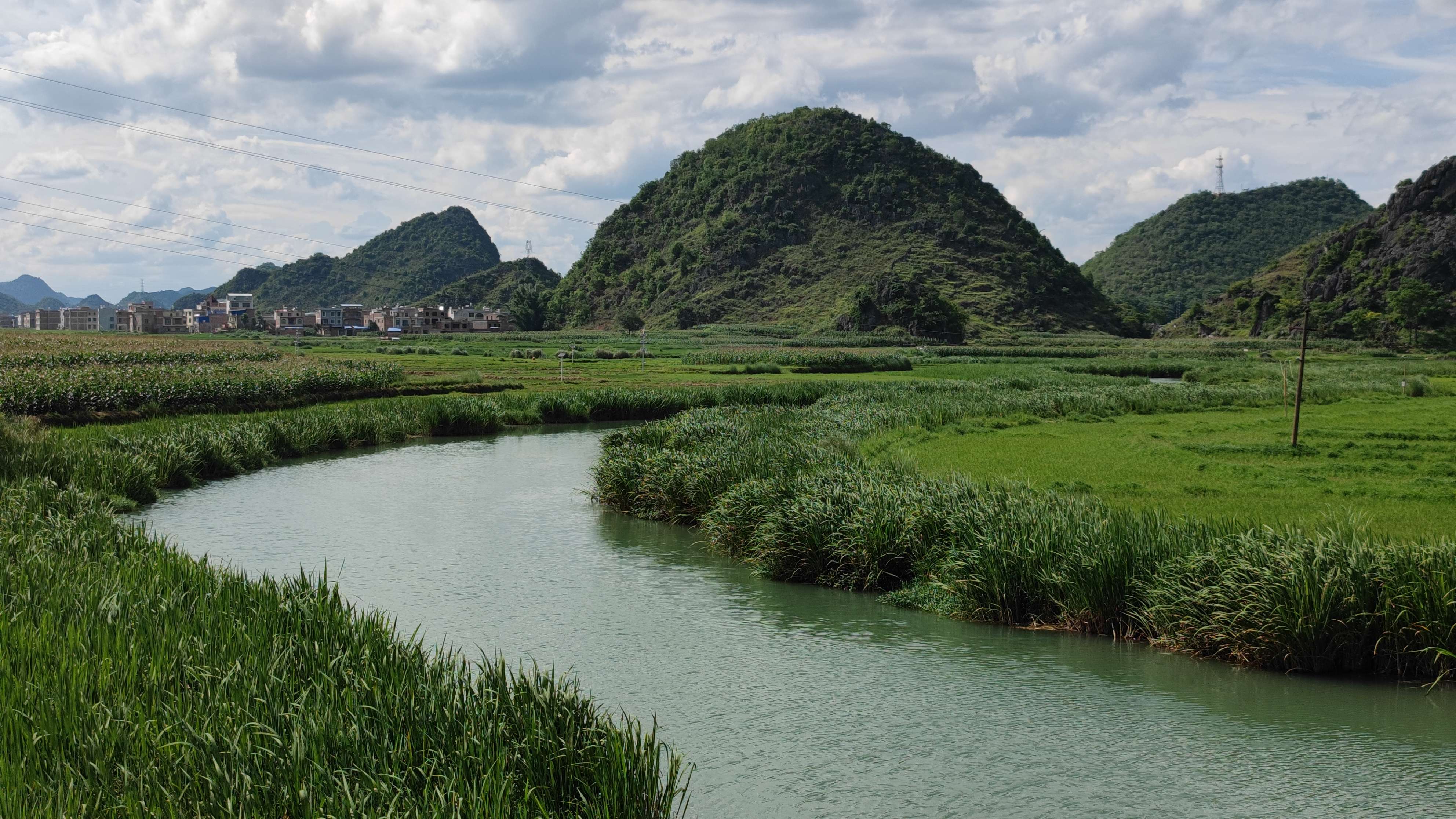 逐梦绿美 好在文山 | 如诗如画的绿色八宝