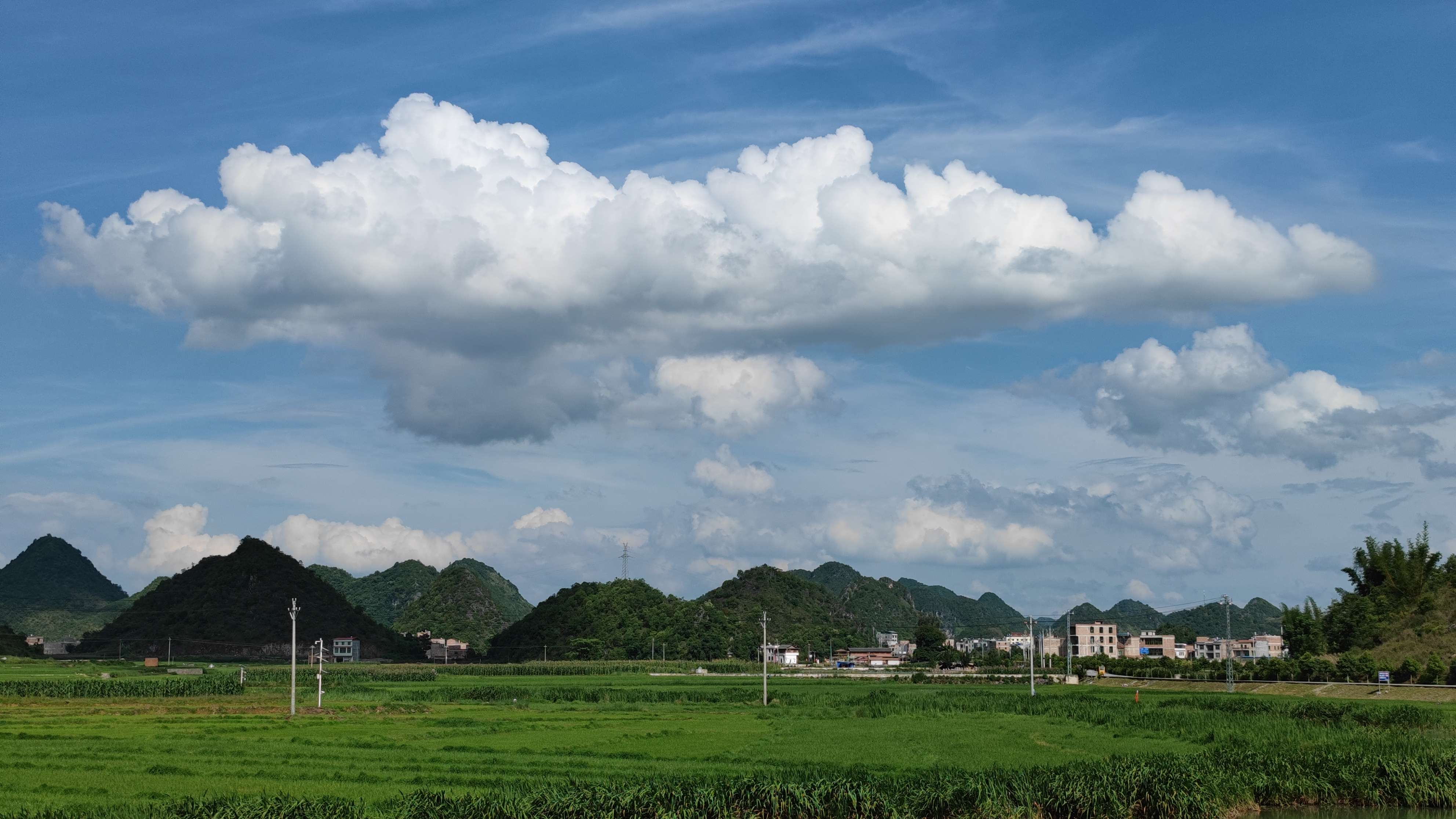 逐梦绿美 好在文山 | 如诗如画的绿色八宝