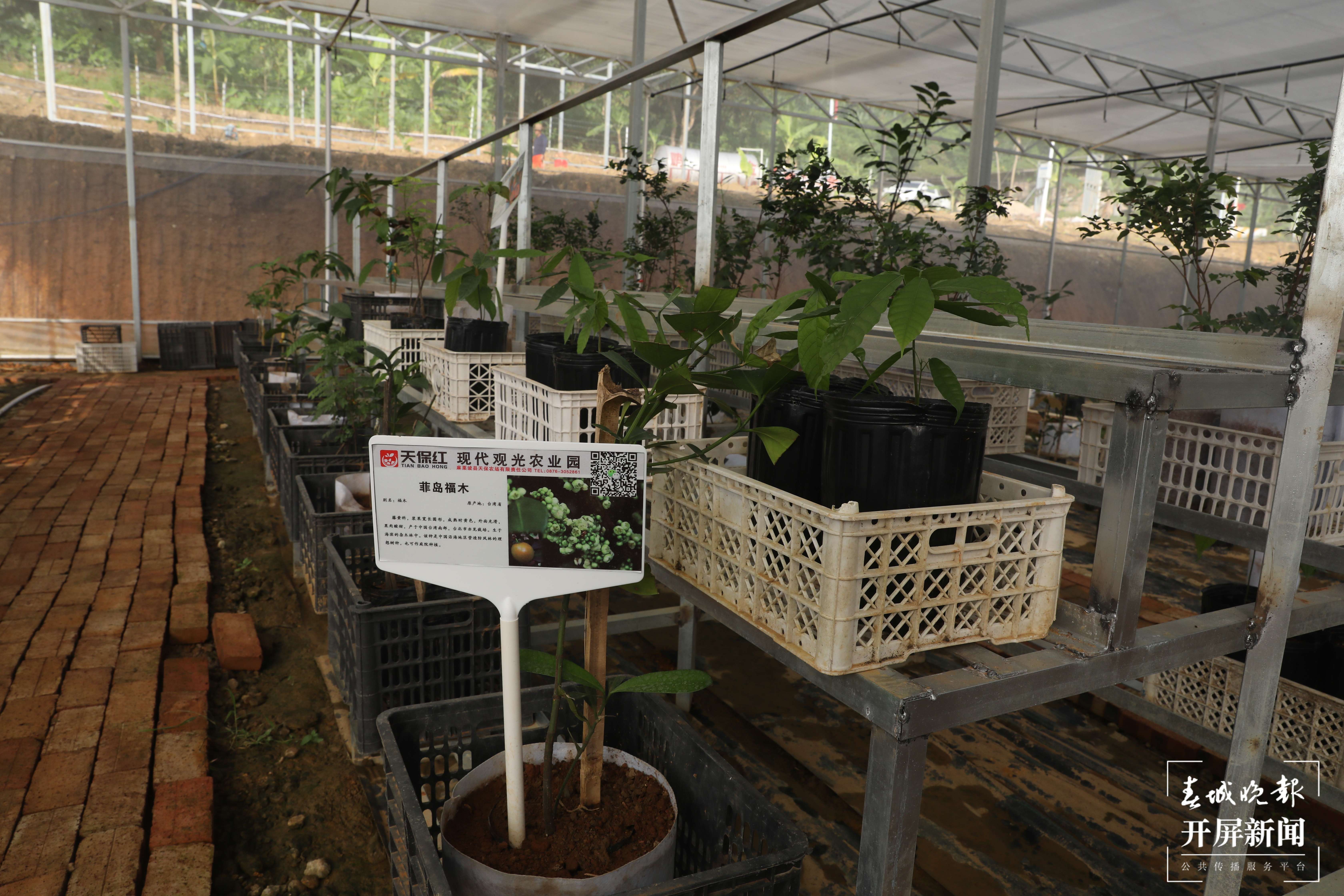 偏马村：这是家园 更是果园4.jpg