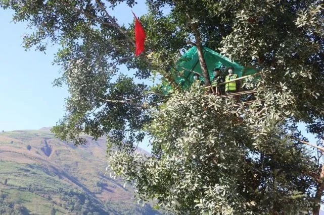 【跟党奋进 青春云南】第9集 固防