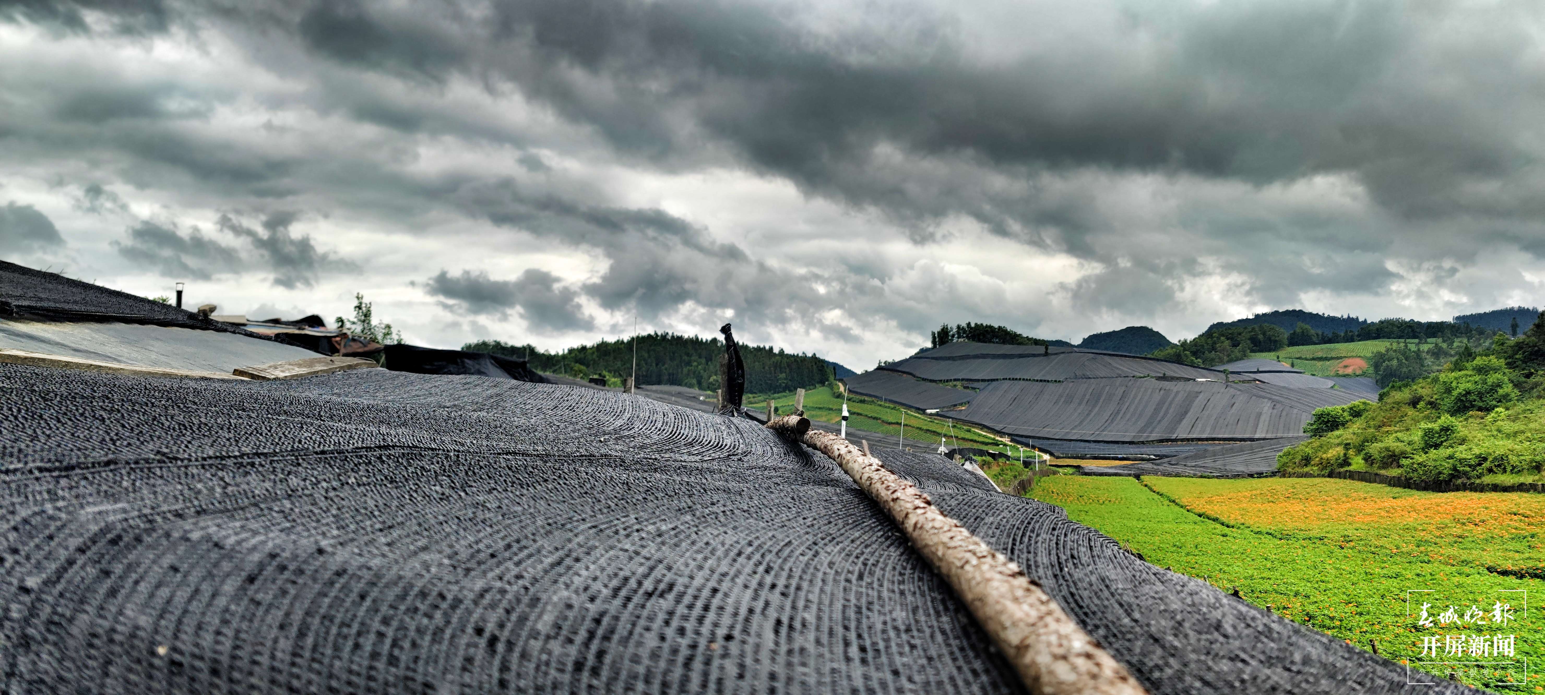 逐梦绿美 好在文山 | “七上重楼”轮种系统为平坝乡村振兴提供保障