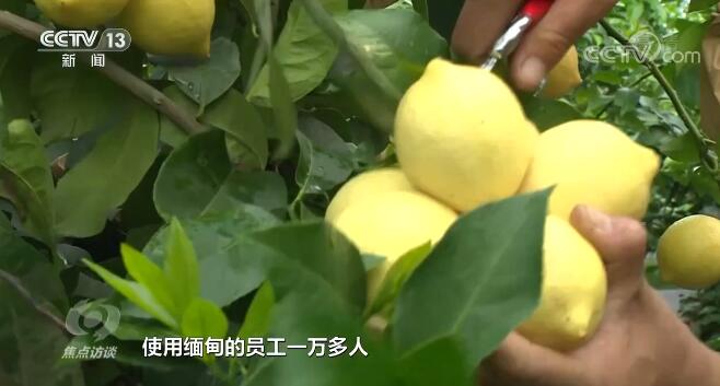 焦点访谈：小城故事 发掘特色强产业