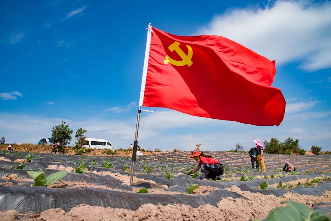 云南中烟红塔集团先进基层党组织专题报道