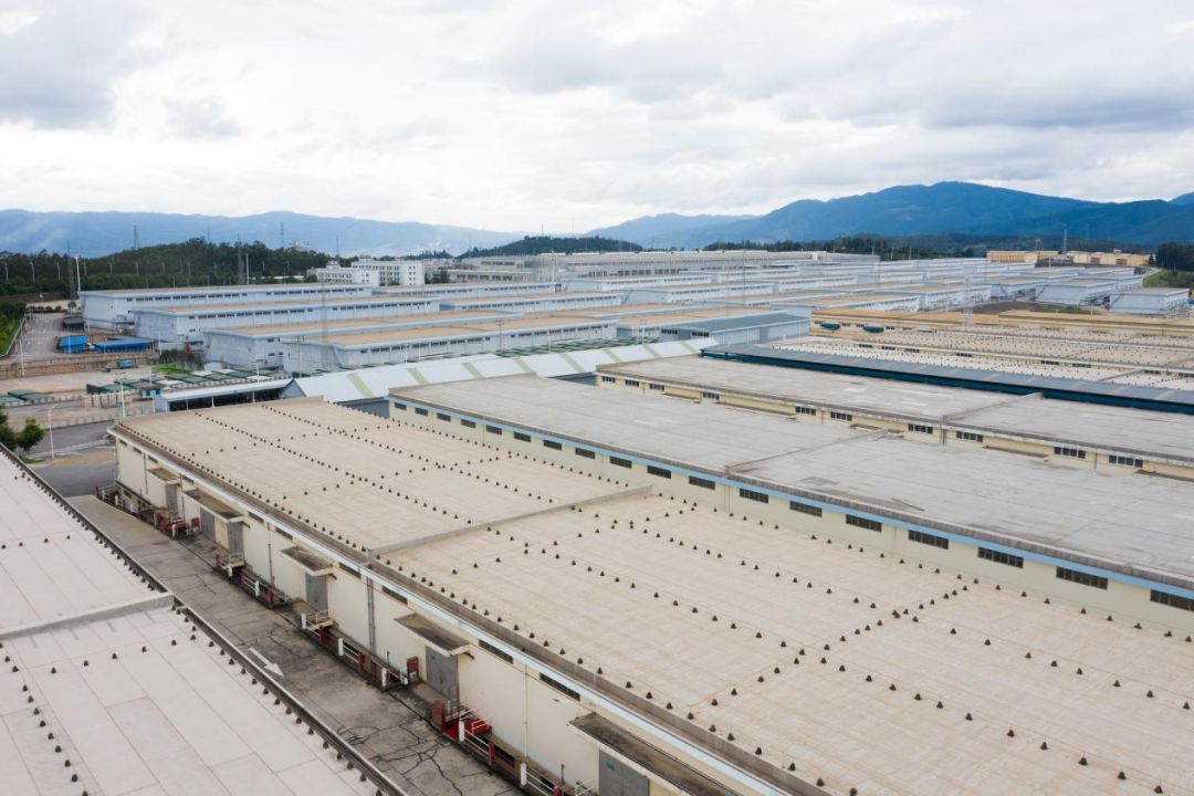 云南中烟红塔集团先进基层党组织专题报道