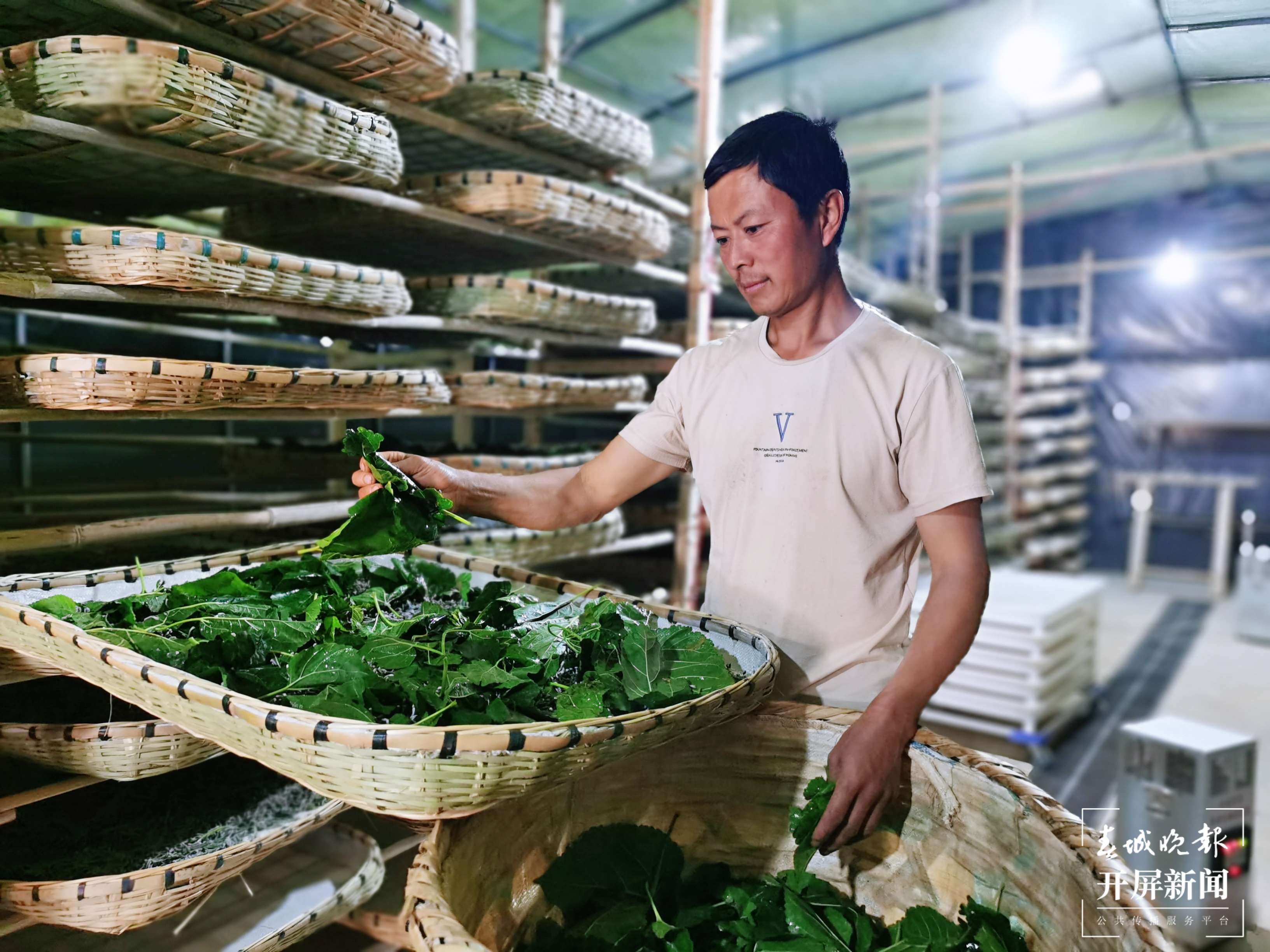 “4＋5＝46亿” 大理祥云刘厂镇算出民族团结进步账2.jpg