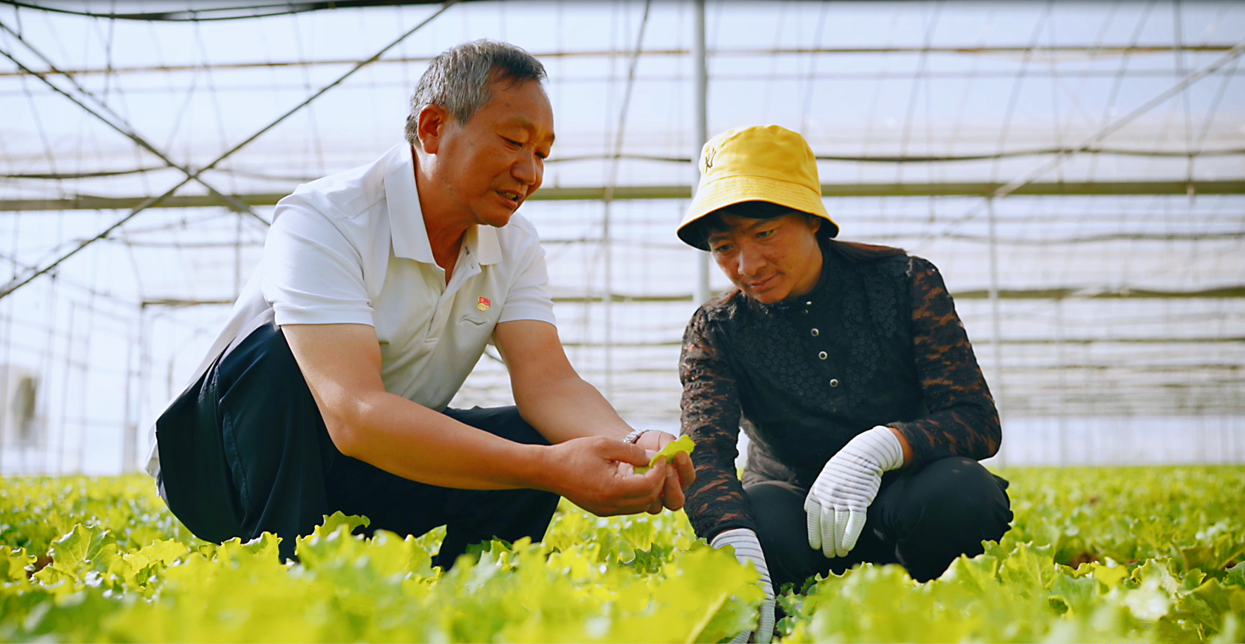 “4＋5＝46亿” 大理祥云刘厂镇算出民族团结进步账7.jpg