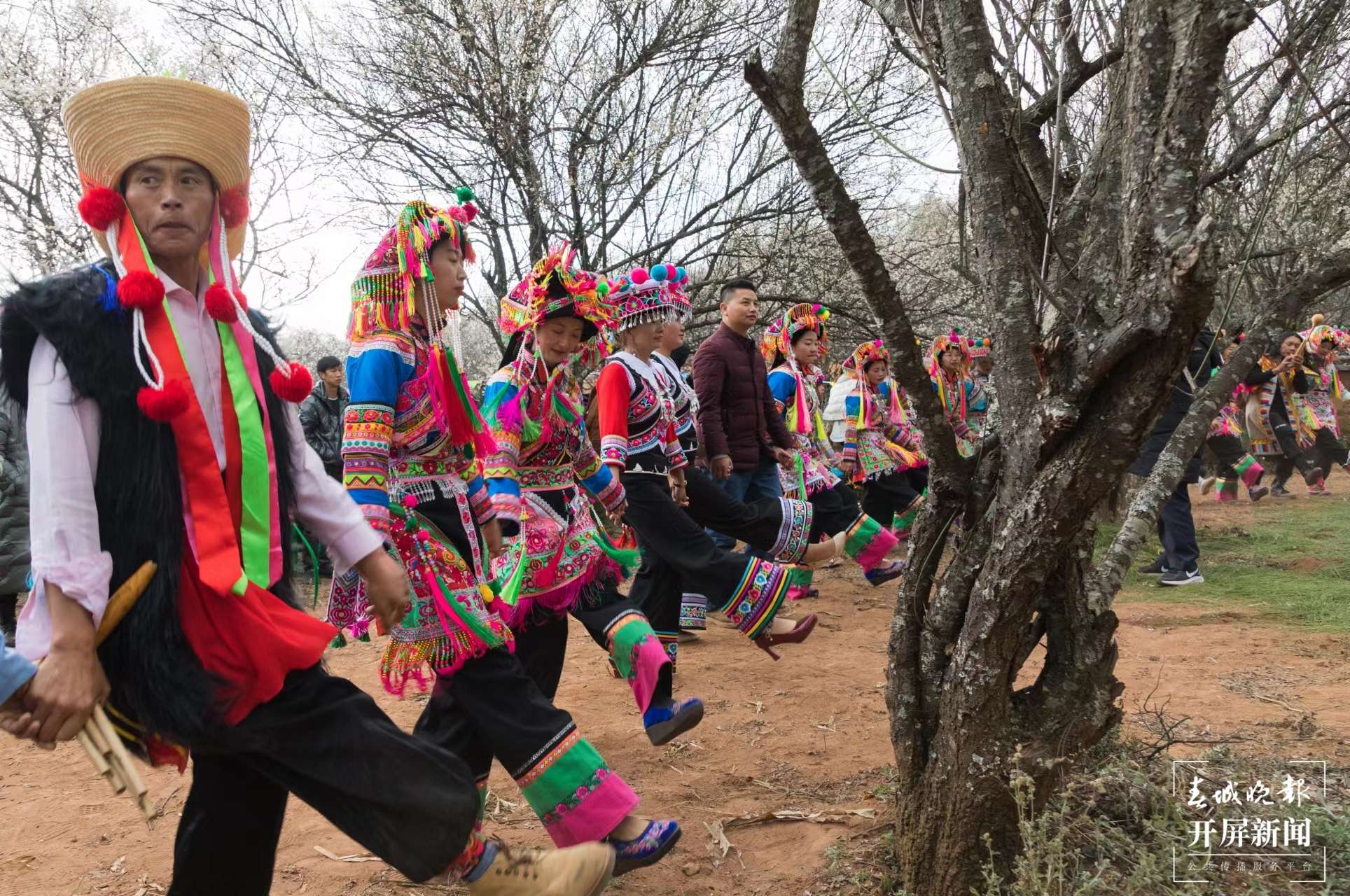 祥云县东山乡：芦笙奏响“梅”好时光2.jpg