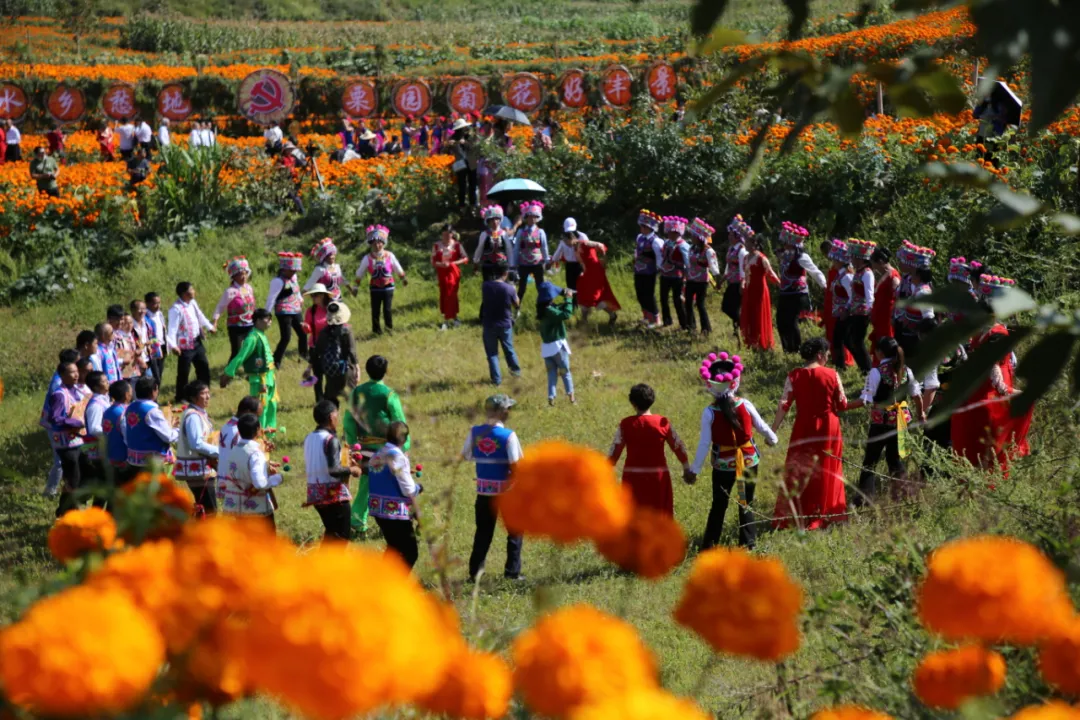 2弥渡县栗子园村：生态产业释放生态福利 云报全媒体记者：博达 吴沛钊 段苏航 通讯员：章可欣 林宏建.jpg