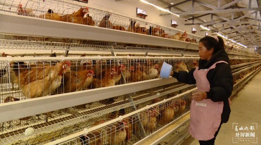 4弥渡县栗子园村：生态产业释放生态福利 云报全媒体记者：博达 吴沛钊 段苏航 通讯员：章可欣 林宏建.png