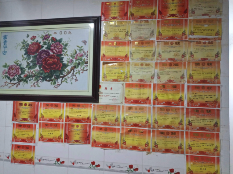 “坐拥”一整面“奖状墙”，楚雄男孩以不懈努力获高考636分高分