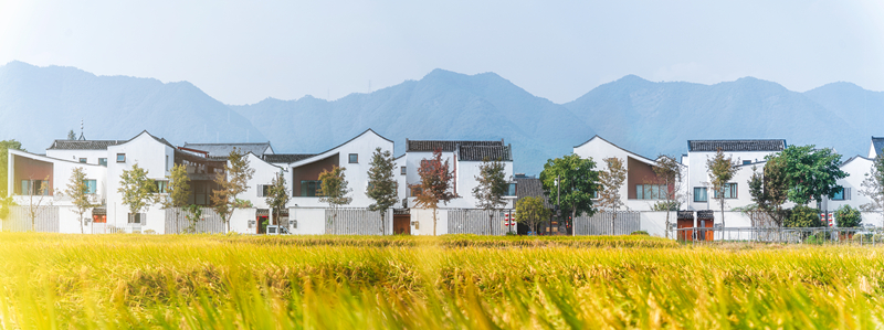 这十年|习近平倡导的工作方法