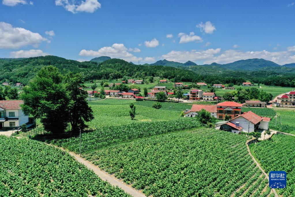 走进县城看发展｜湖北兴山：从因山得名到因山而兴