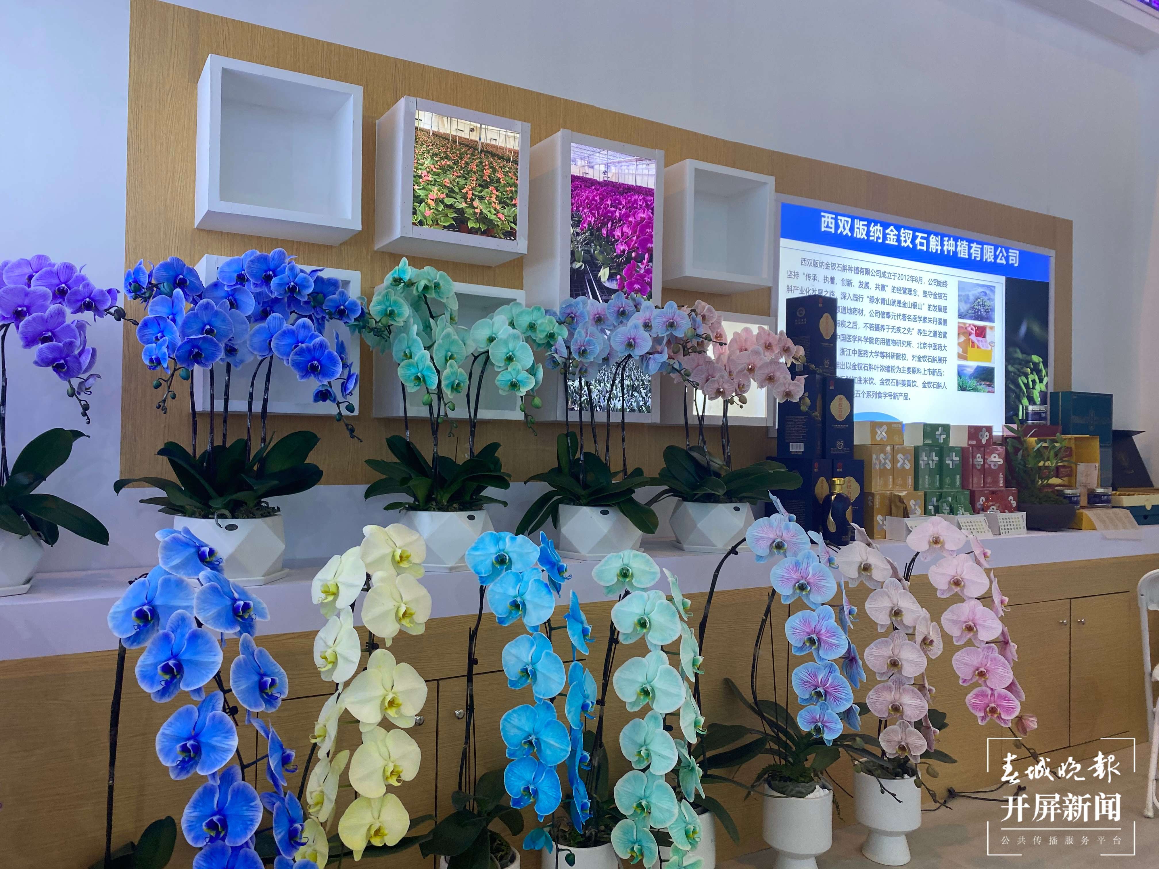 “山海永相连 云台一家亲”2022旅交会云台融合展览馆开馆（孙江荭）