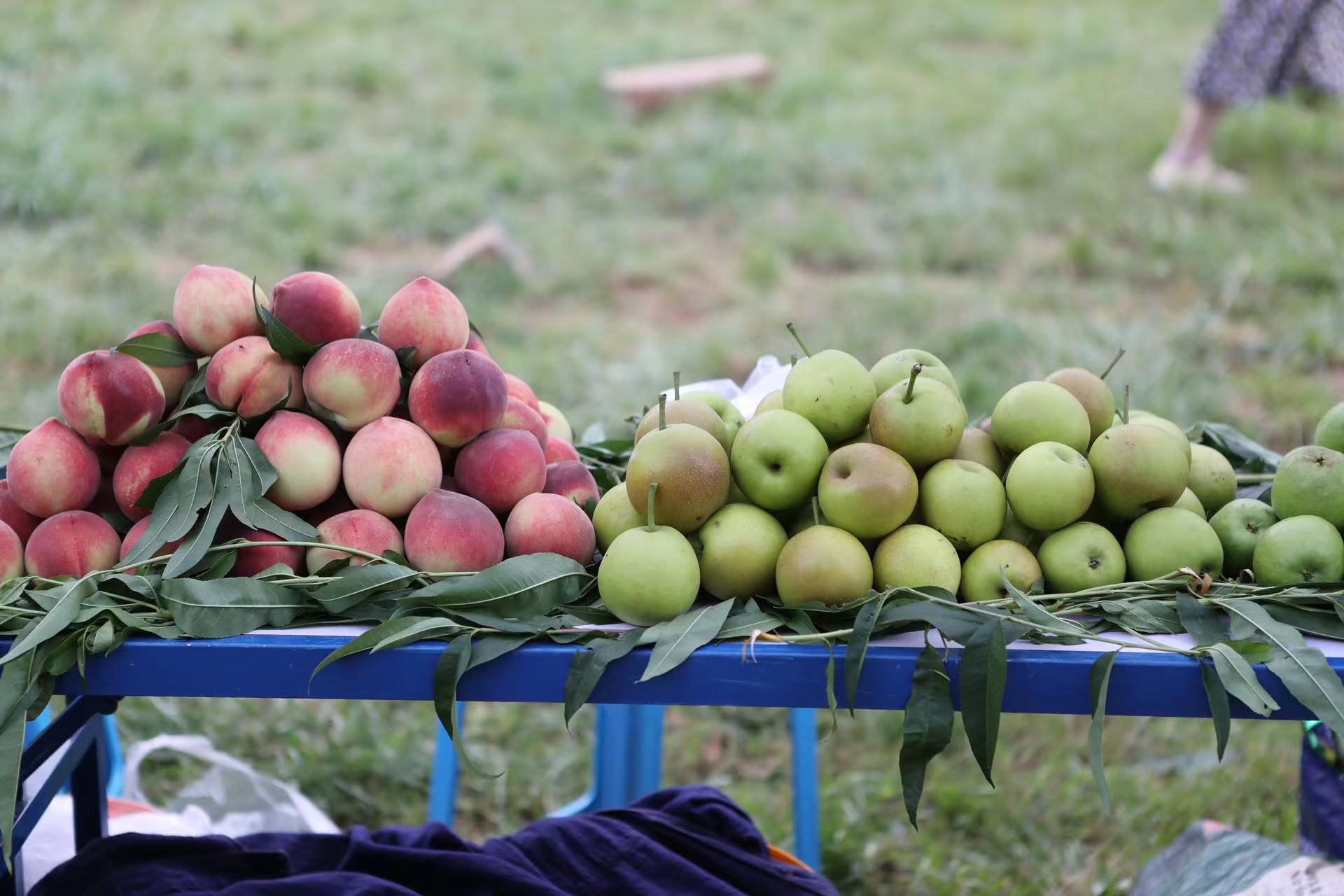 一起来看呈贡文化旅游节的民俗魅力 (3).jpg