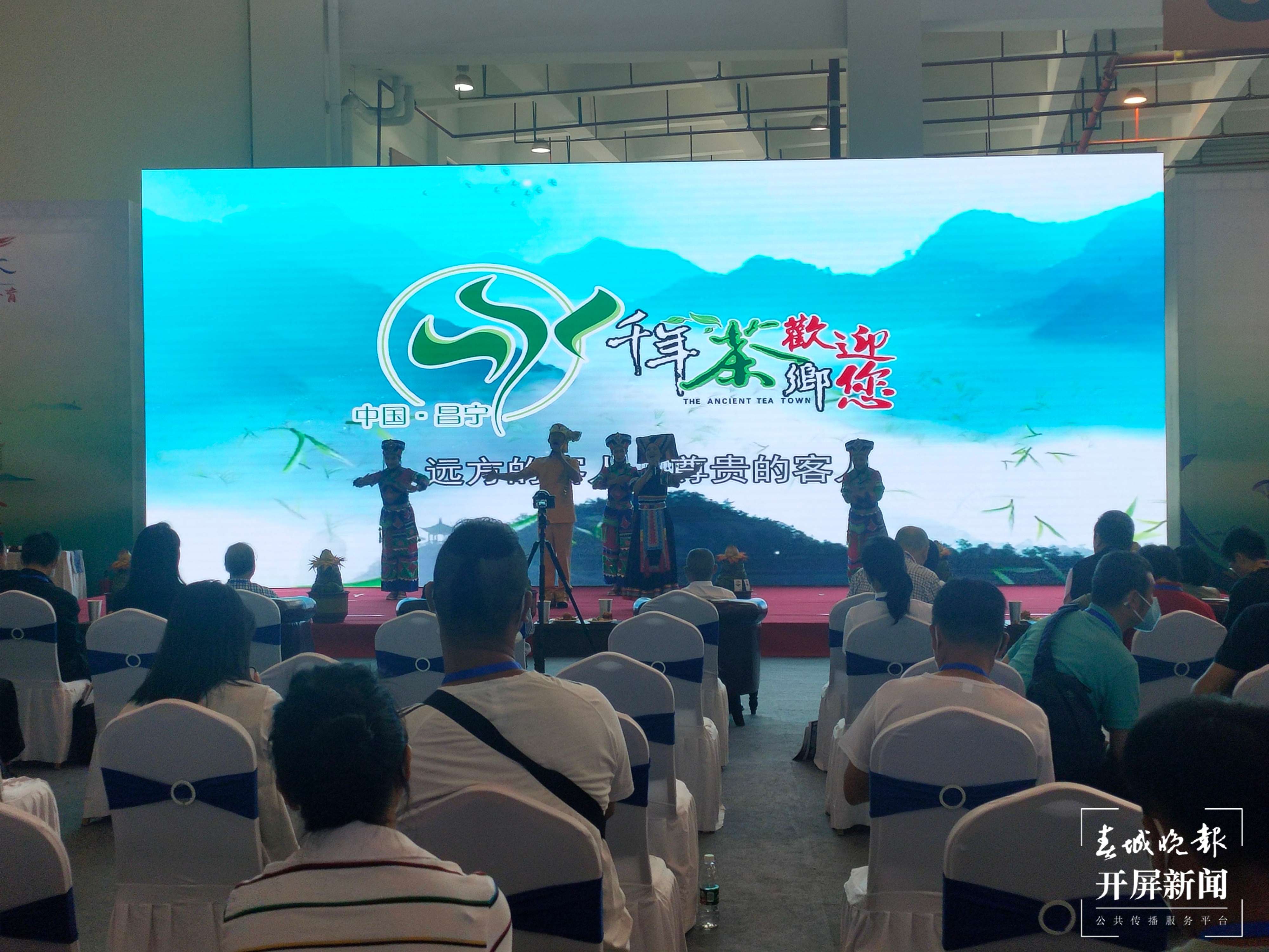 【大象推荐官游中国】“千年茶乡”昌宁邀请你开启一段采茶、制茶、品茶之旅