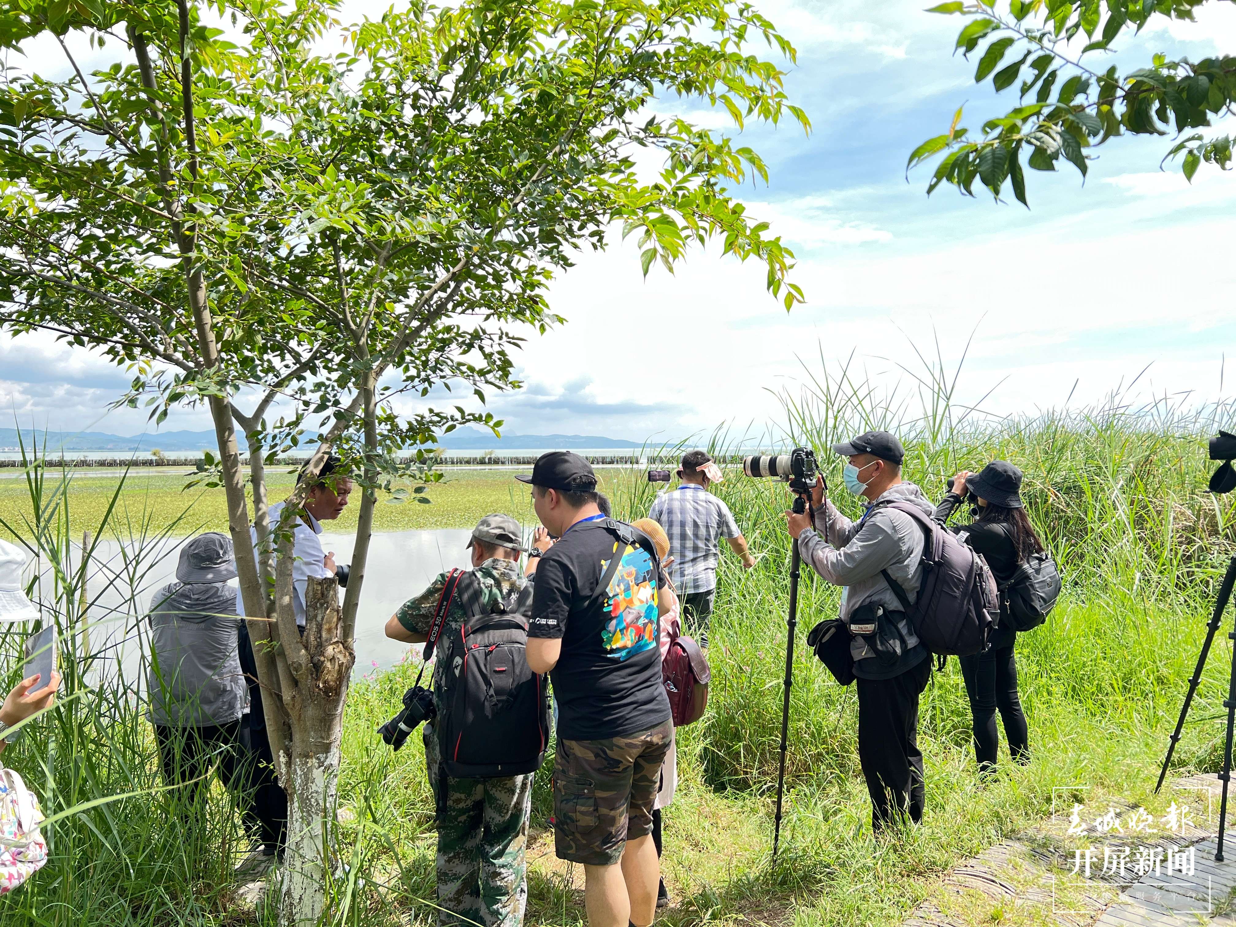 2022年滇池湿地文化节今日启幕（春城晚报-开屏新闻记者 杨质高 通讯员 宋光旭 摄）