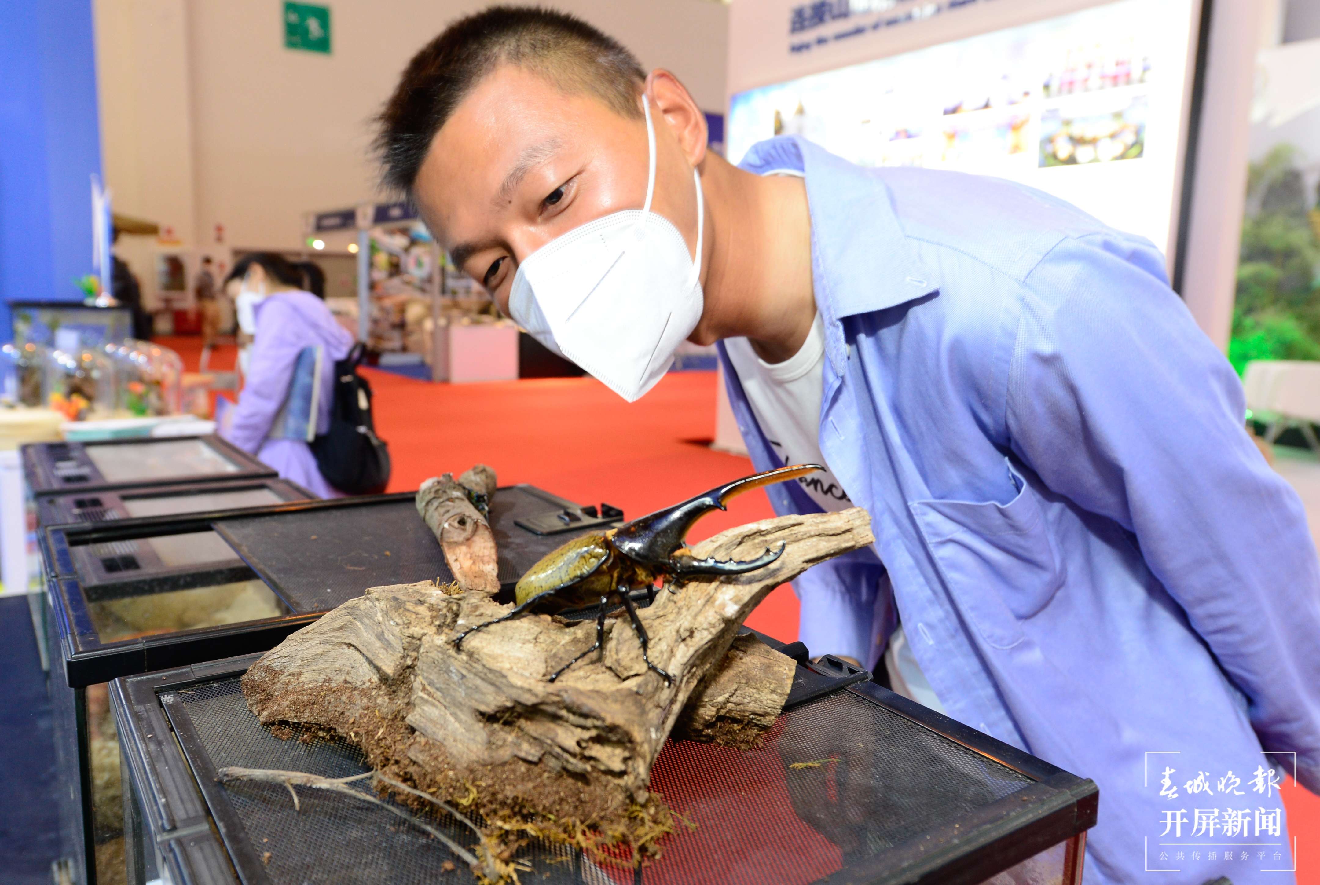 旅交会（龙宇丹 摄）