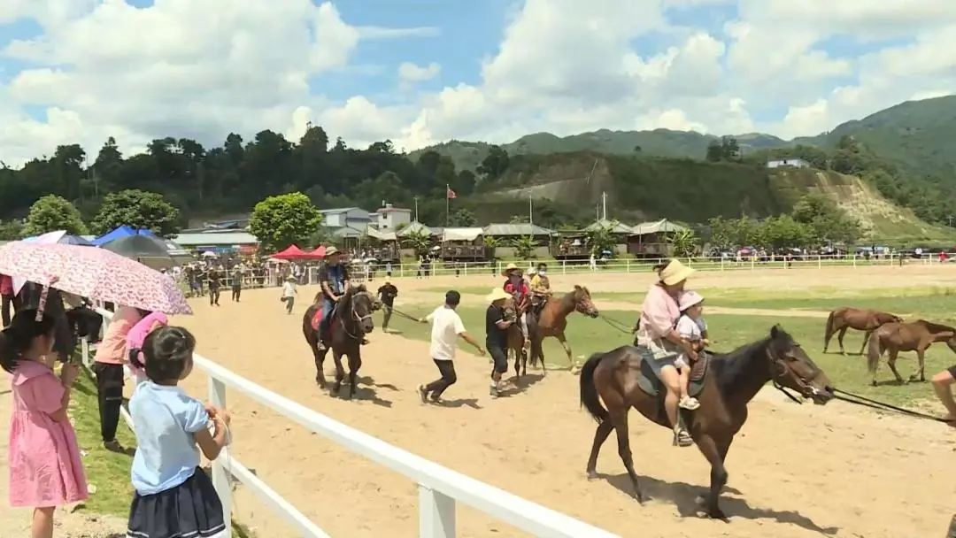 临沧凤庆：让田园美景成为乡村旅游好资源 (6).jpg