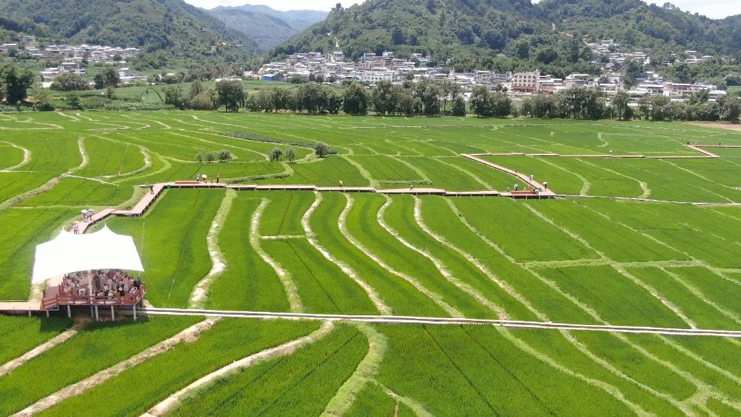 临沧凤庆：让田园美景成为乡村旅游好资源 (5).jpg