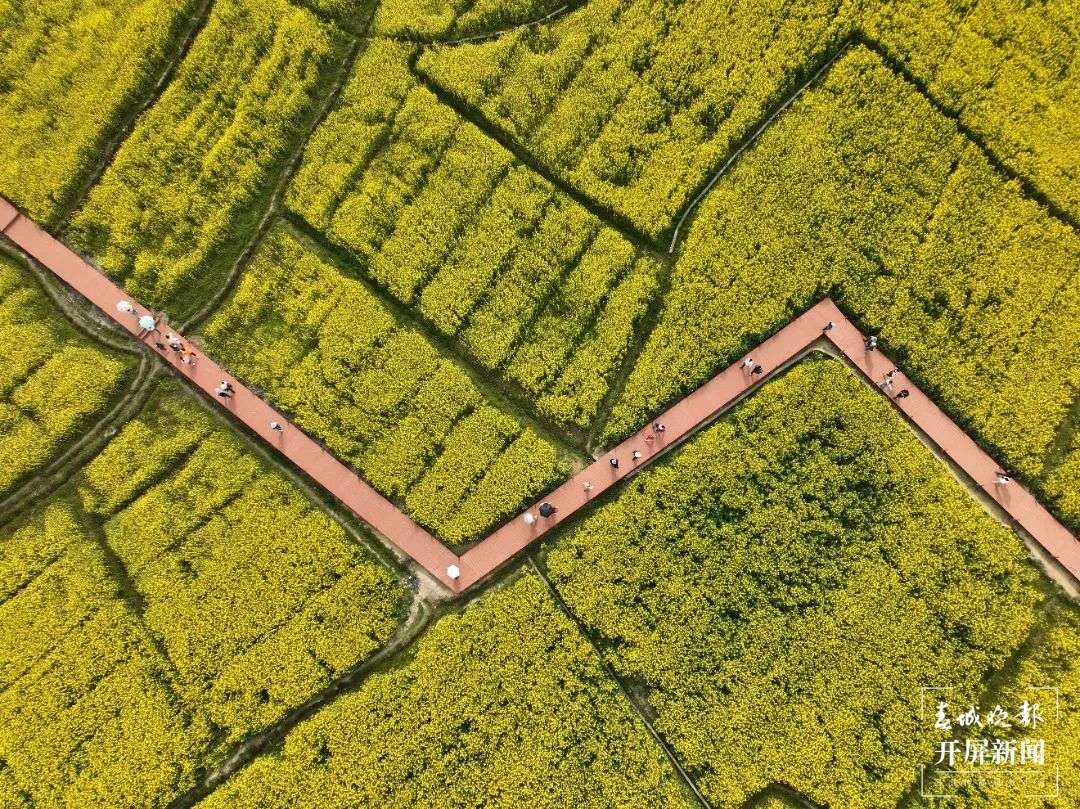 临沧凤庆：让田园美景成为乡村旅游好资源 (7).jpg