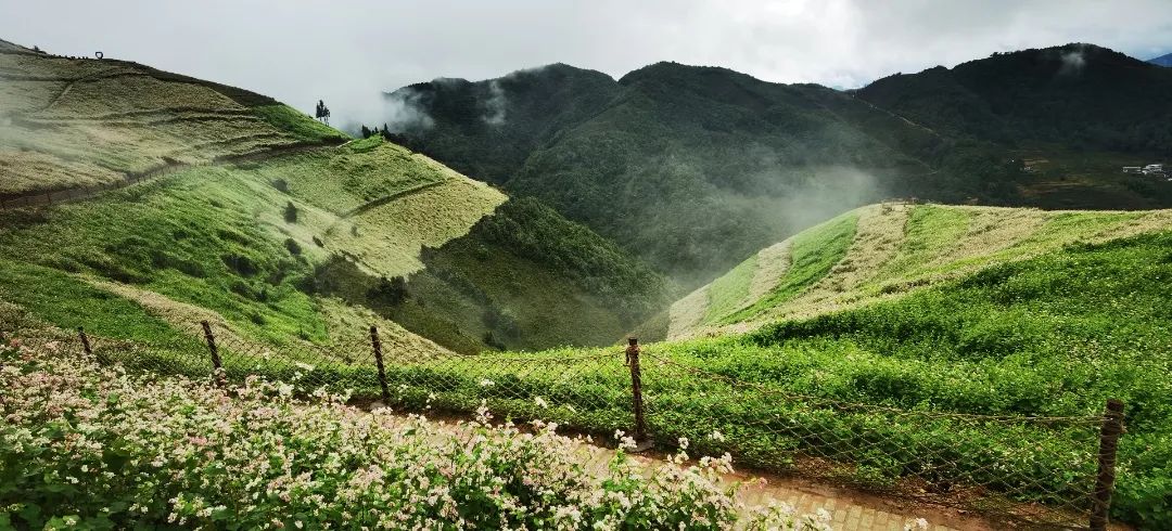 临沧凤庆：让田园美景成为乡村旅游好资源 (4).jpg