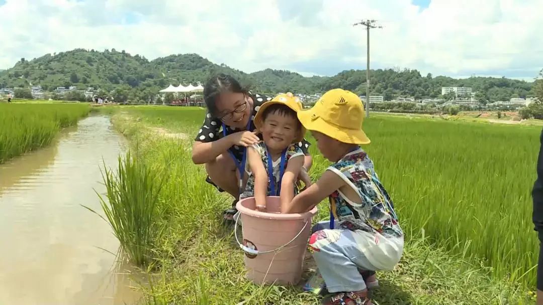 临沧凤庆：让田园美景成为乡村旅游好资源 (3).jpg