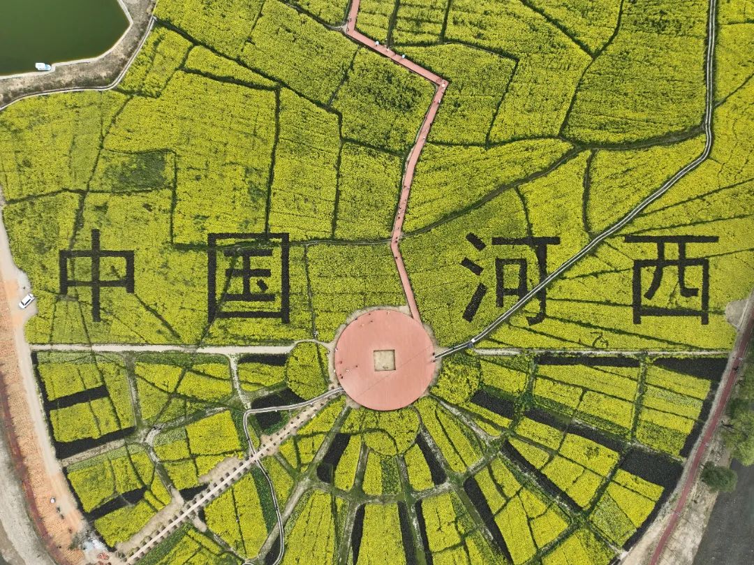 临沧凤庆：让田园美景成为乡村旅游好资源 (2).jpg