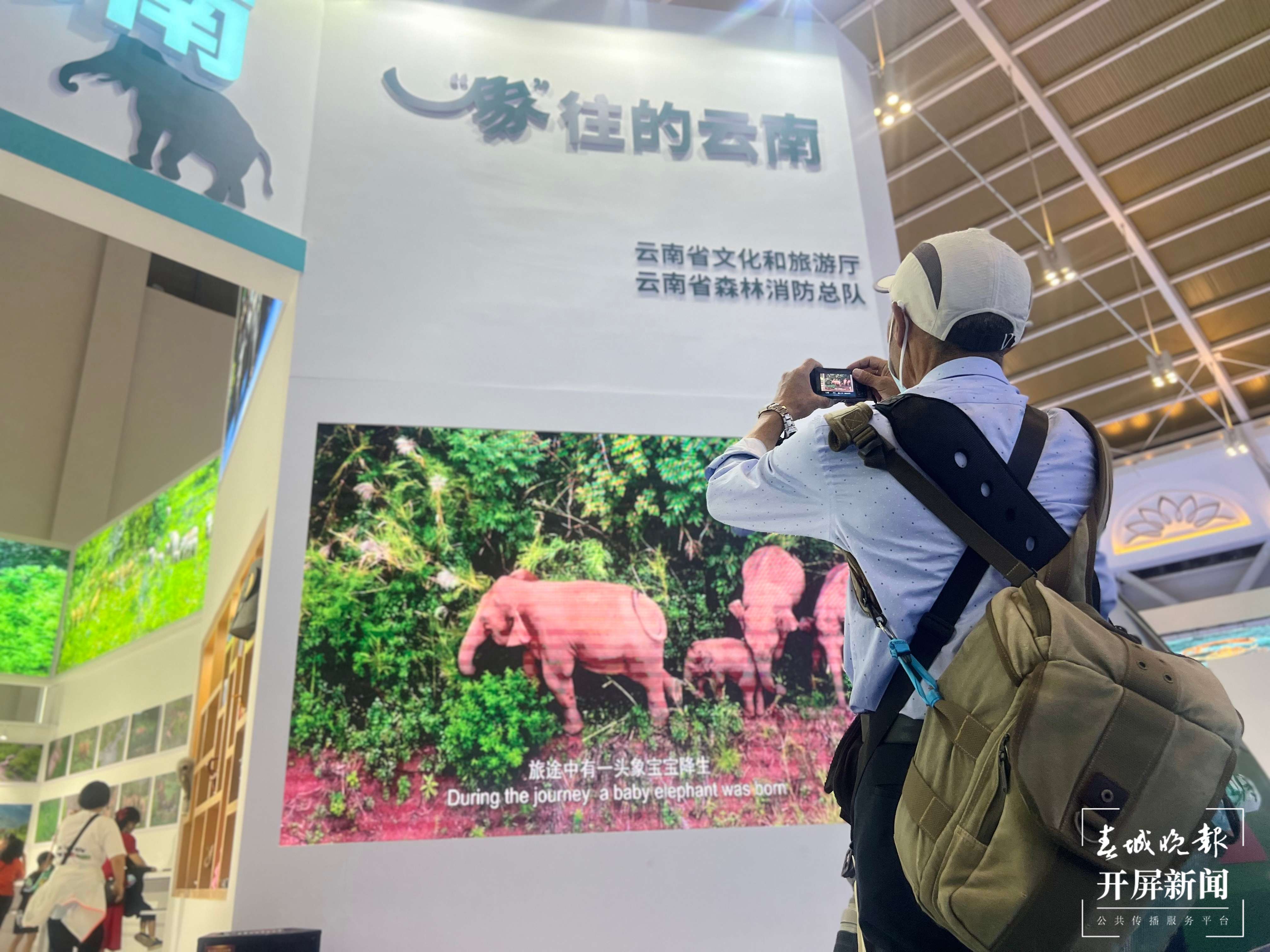 5000张野生亚洲象独家照片亮相旅交会 (1).jpg