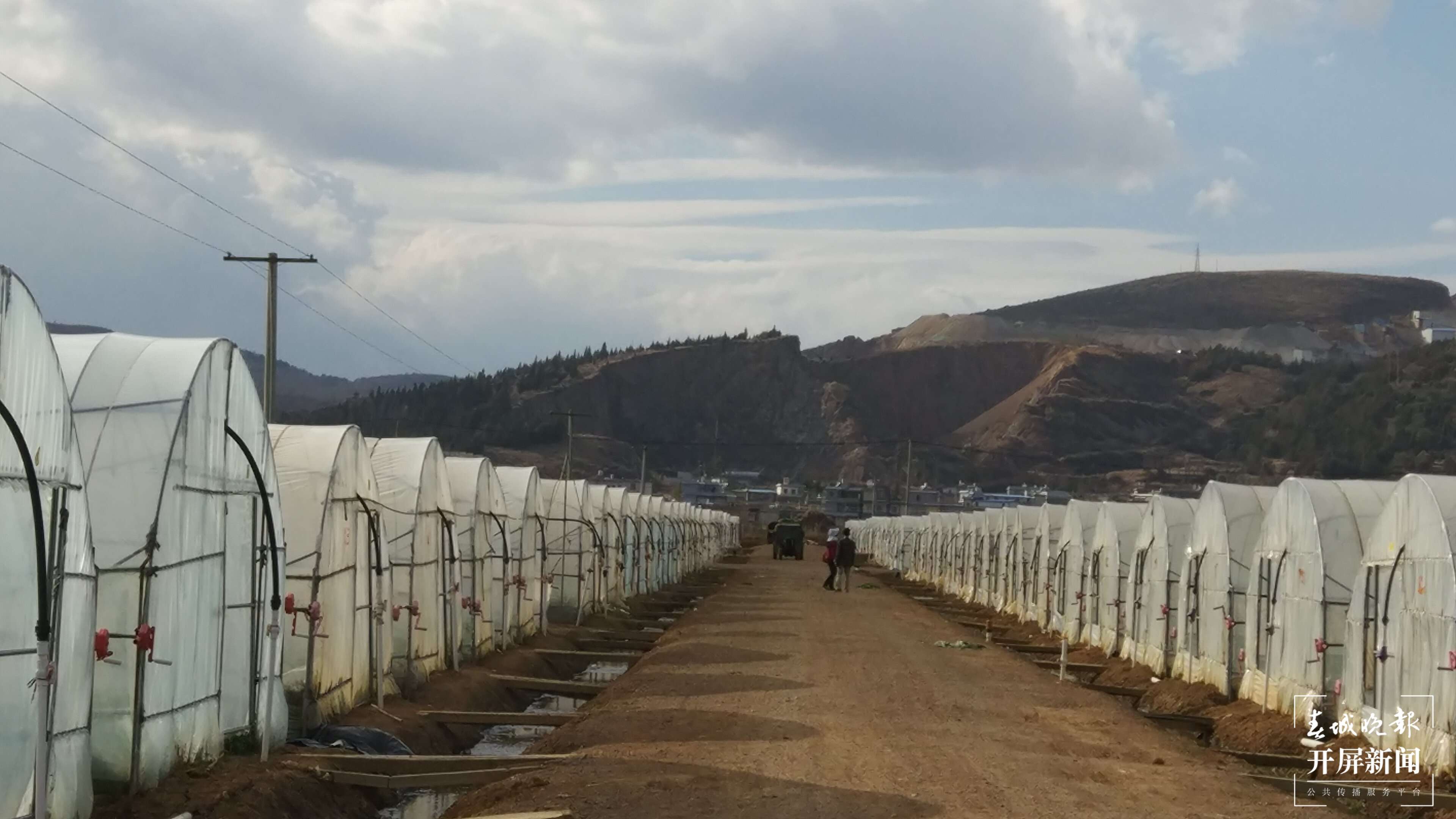 铸牢中华民族共同体意识看大理 | 大波那社区的“四美”画卷