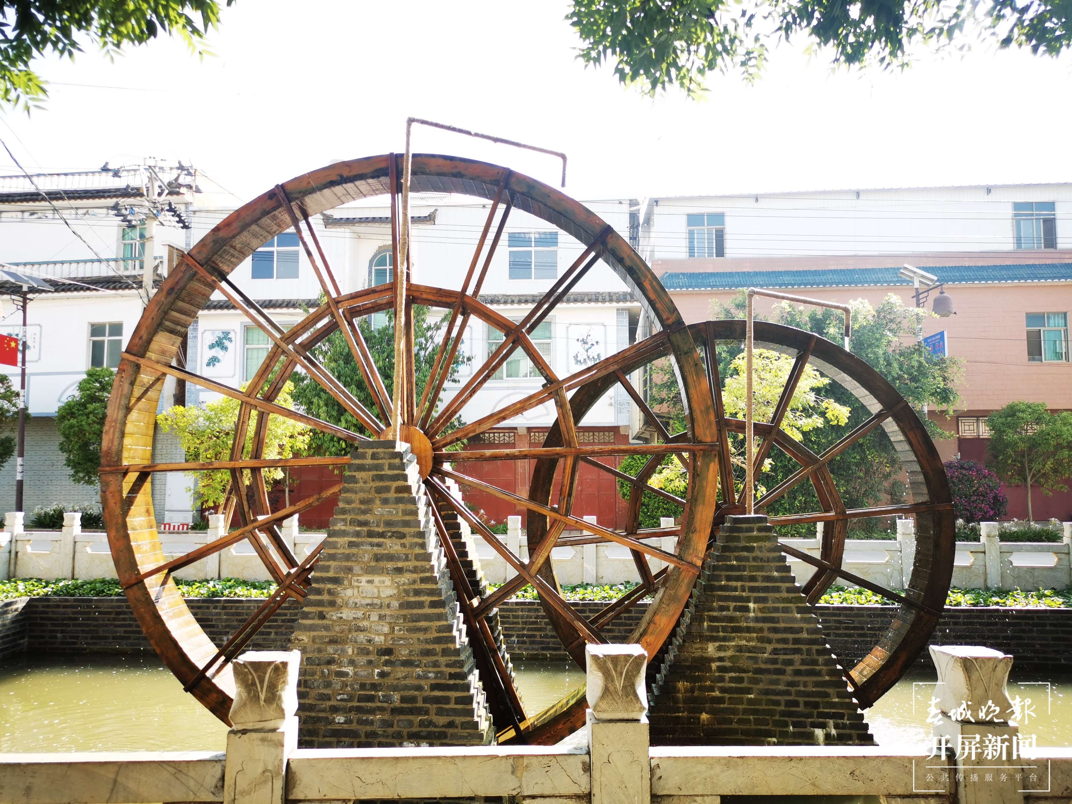 铸牢中华民族共同体意识看大理 | 大波那社区的“四美”画卷