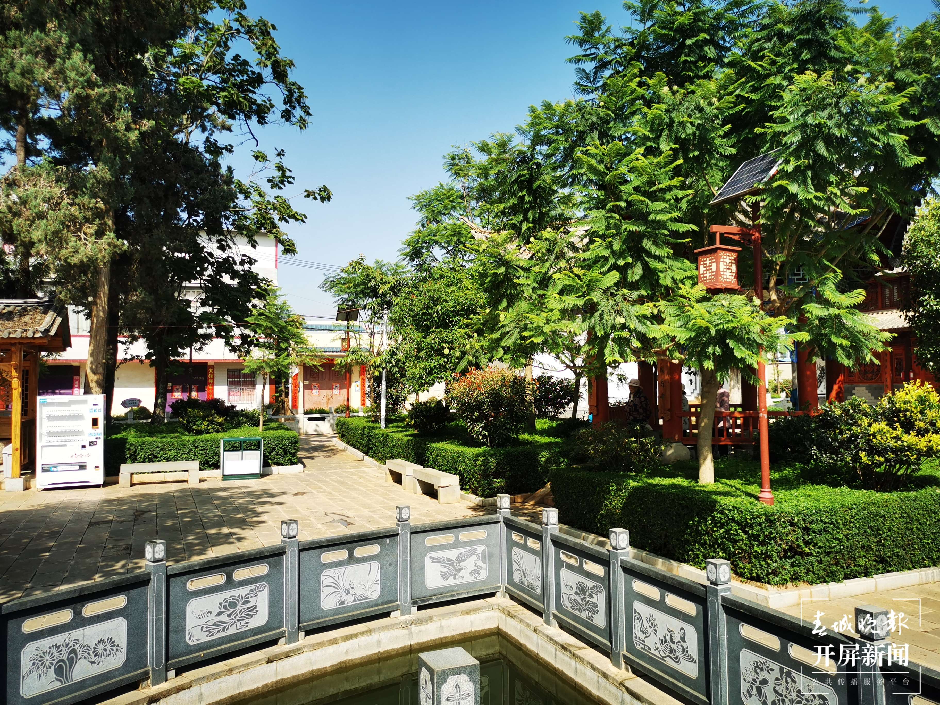 铸牢中华民族共同体意识看大理 | 大波那社区的“四美”画卷