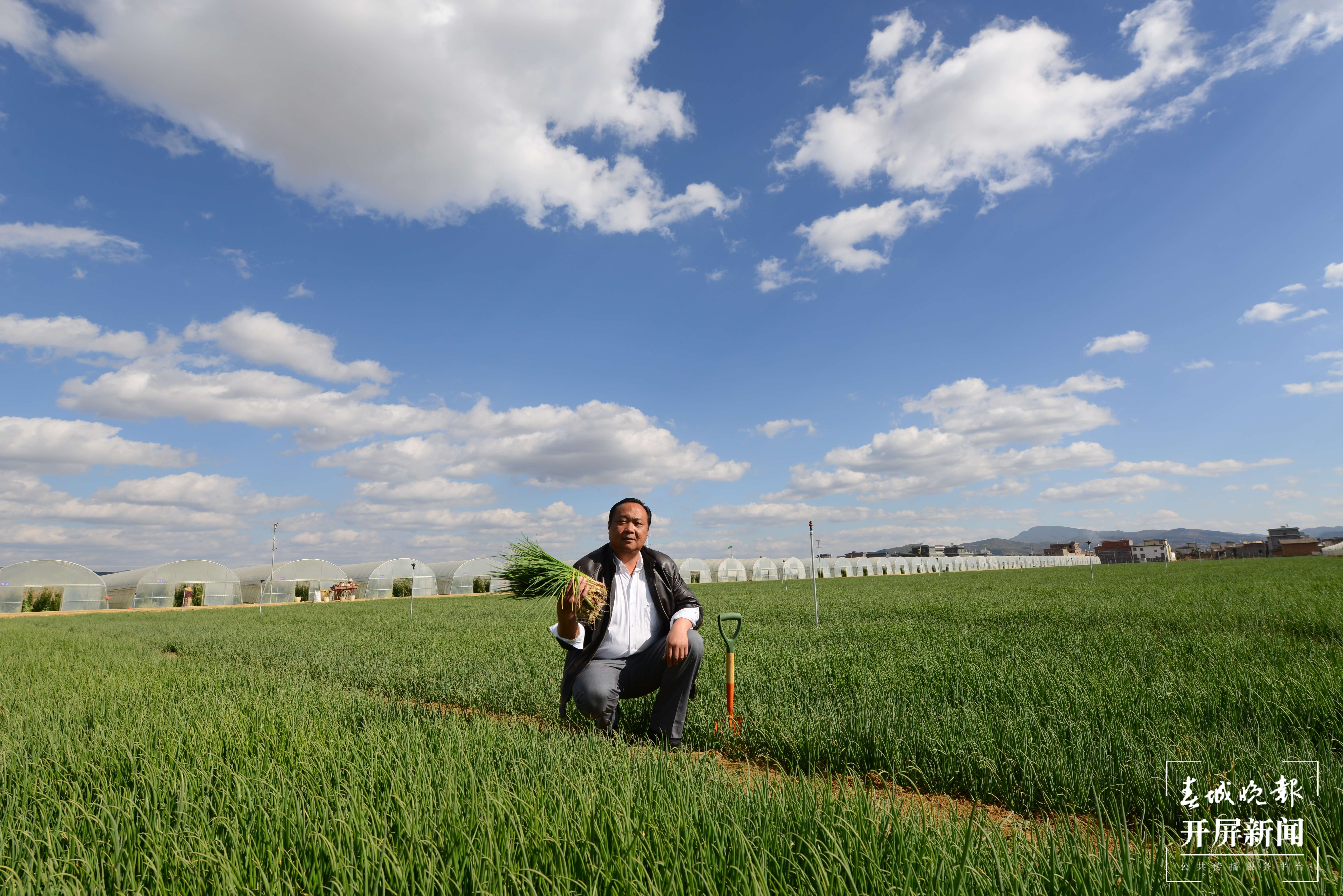 铸牢中华民族共同体意识看大理 | 刘厂村致富带头人刘绍龙：让土地生金 ，让乡亲过上好日子