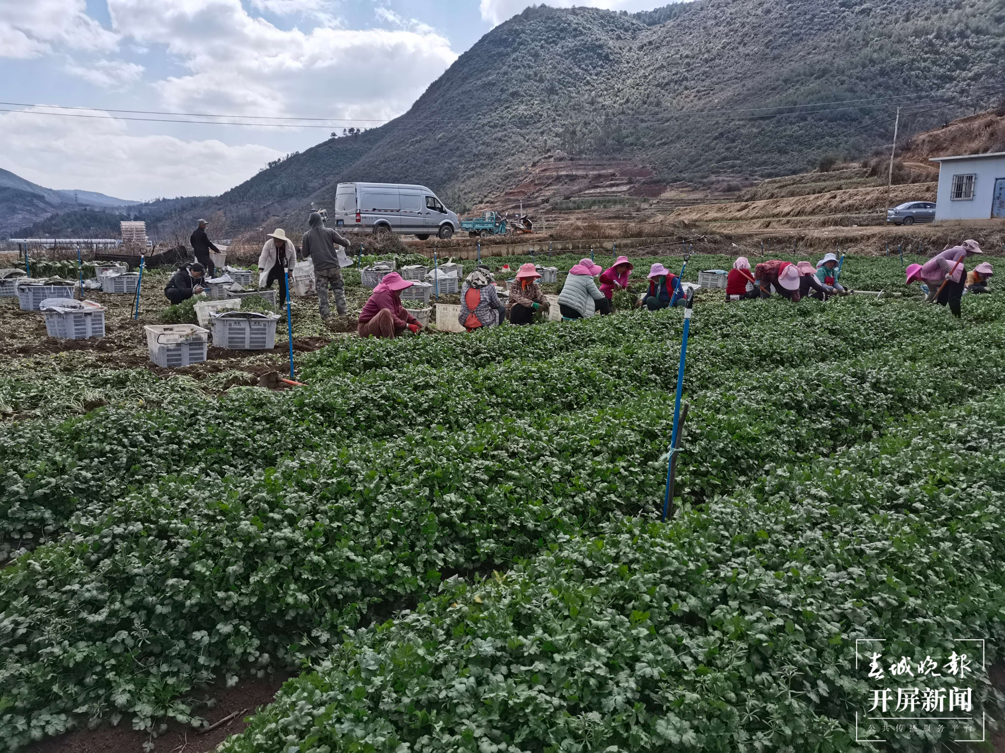 铸牢中华民族共同体意识看大理 | 一条致富路，连起两县一家亲