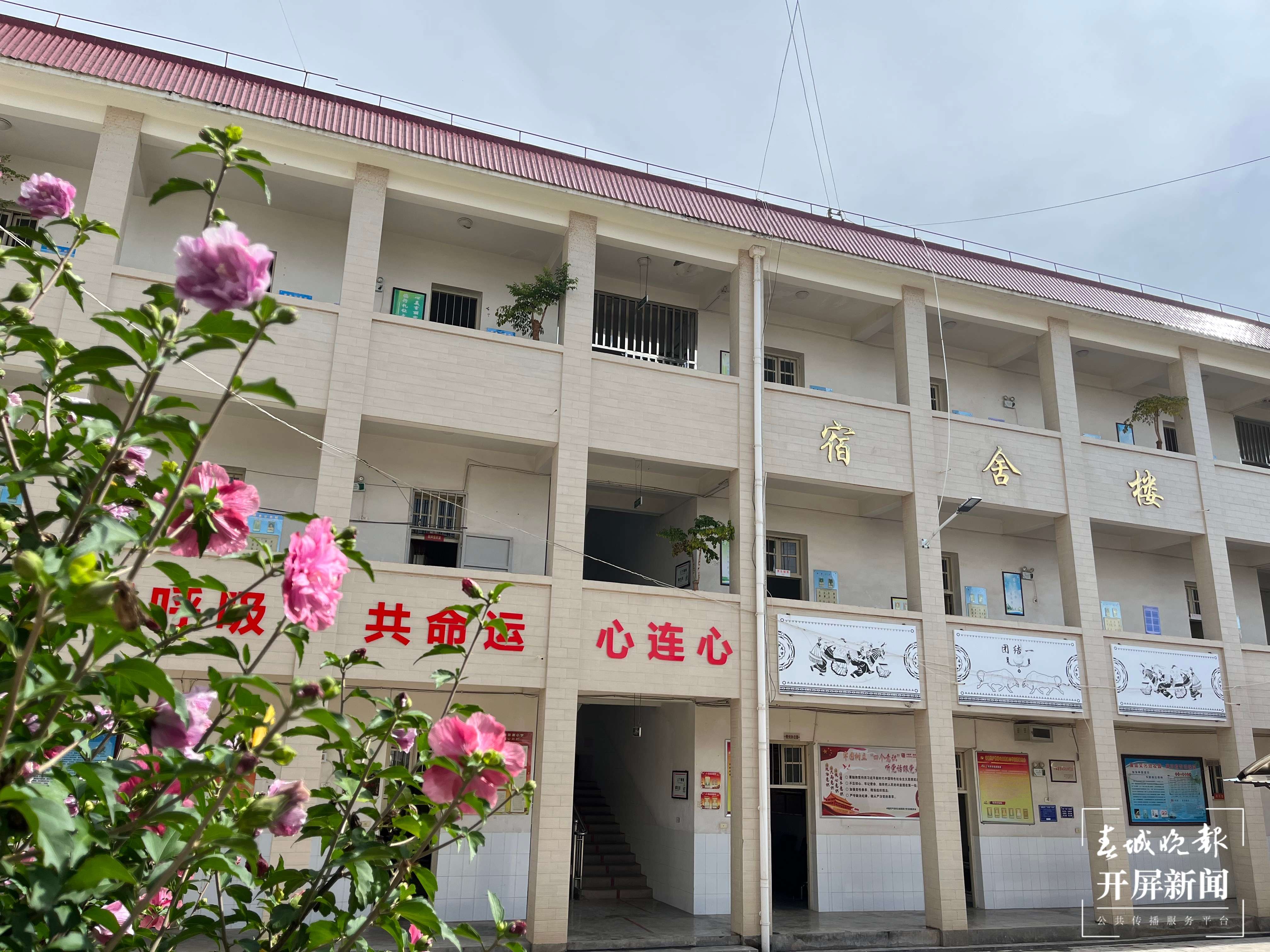 铸牢中华民族共同体意识看大理 | 祥云县普淜小学：孕育民族团结花