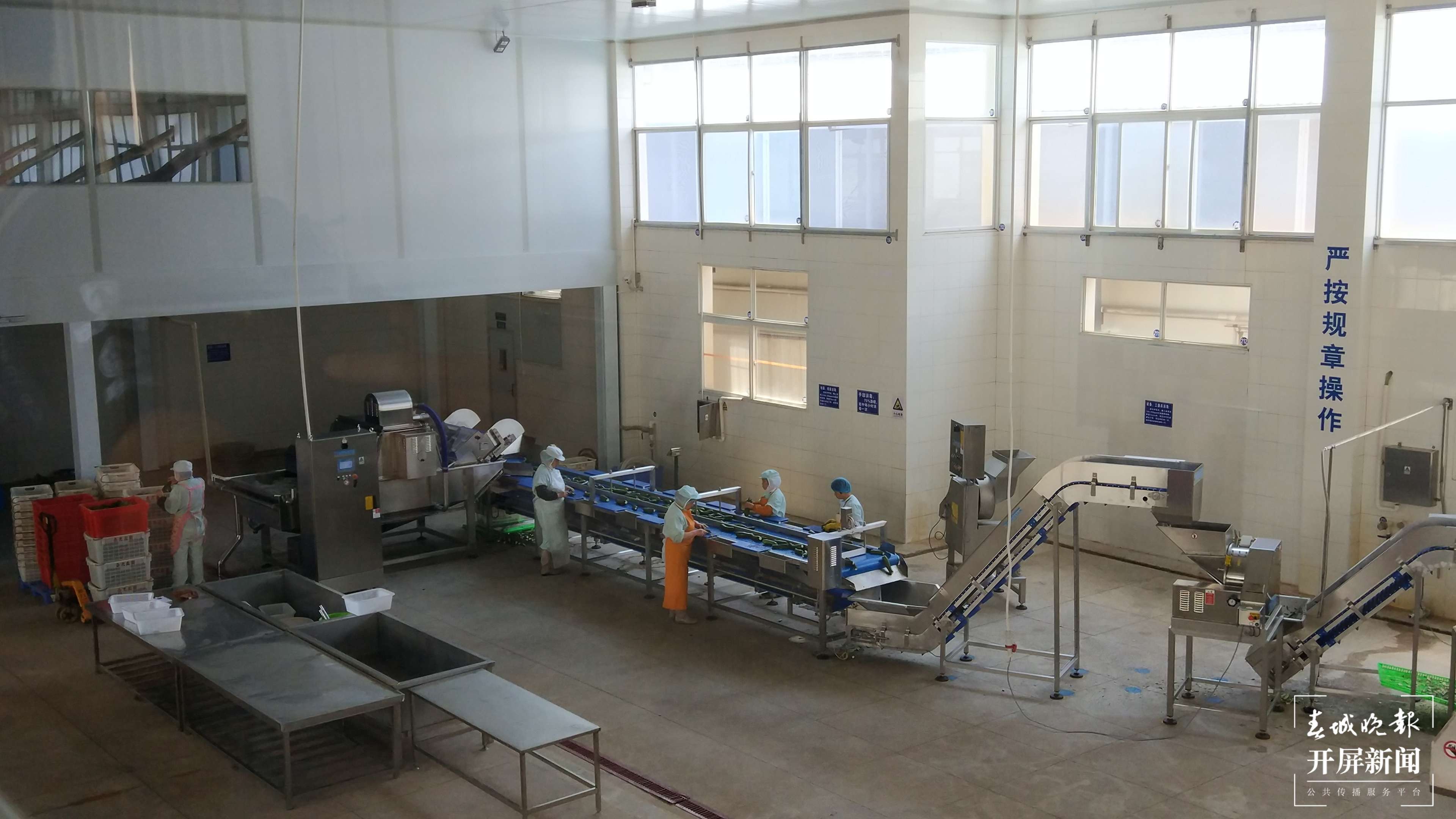 铸牢中华民族共同体意识看大理 | 祥云县：一个企业带动一方发展