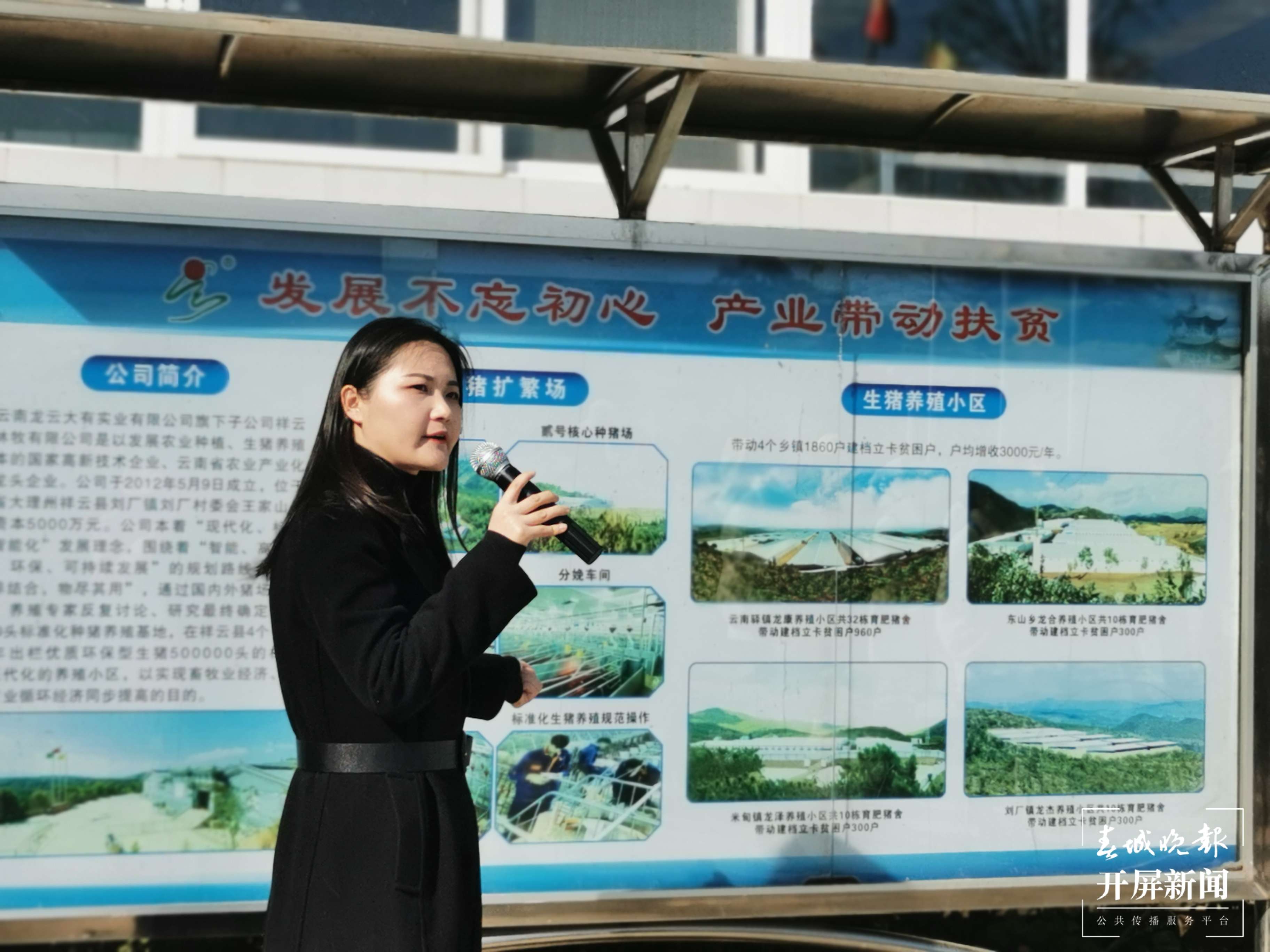 铸牢中华民族共同体意识看大理 | 祥云县：一个企业带动一方发展