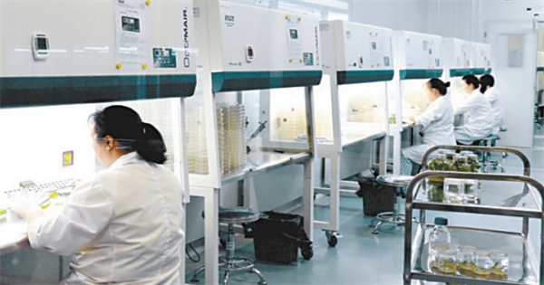 奋进新时代 同心向未来——云南卷烟工业改革发展40年回顾