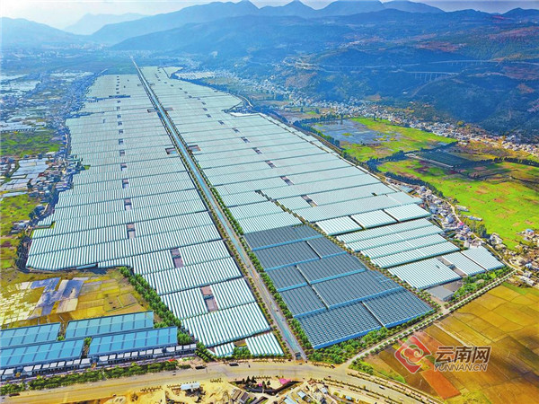 开出幸福花 结出希望果——云南中烟帮扶宣威市、会泽县记事