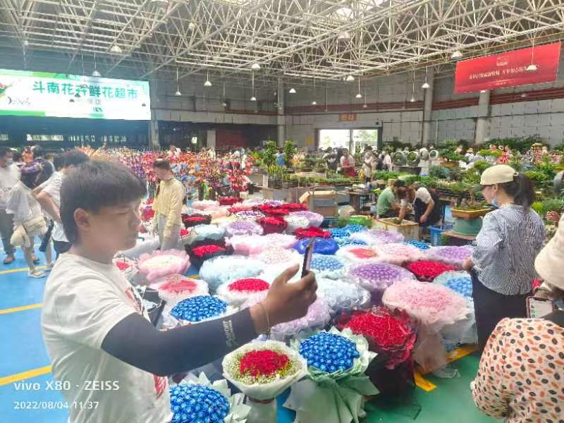 日均拍卖成交量近700万支！“浪漫经济”催生斗南鲜花量价齐升（闵楠 摄）
