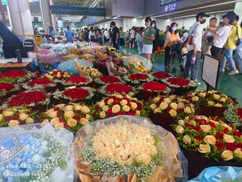 日均拍卖成交量近700万支！“浪漫经济”催生斗南鲜花量价齐升（闵楠 摄）