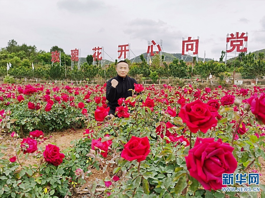 云南统战这十年丨孙立刚：情系玫瑰花，逐梦创业路
