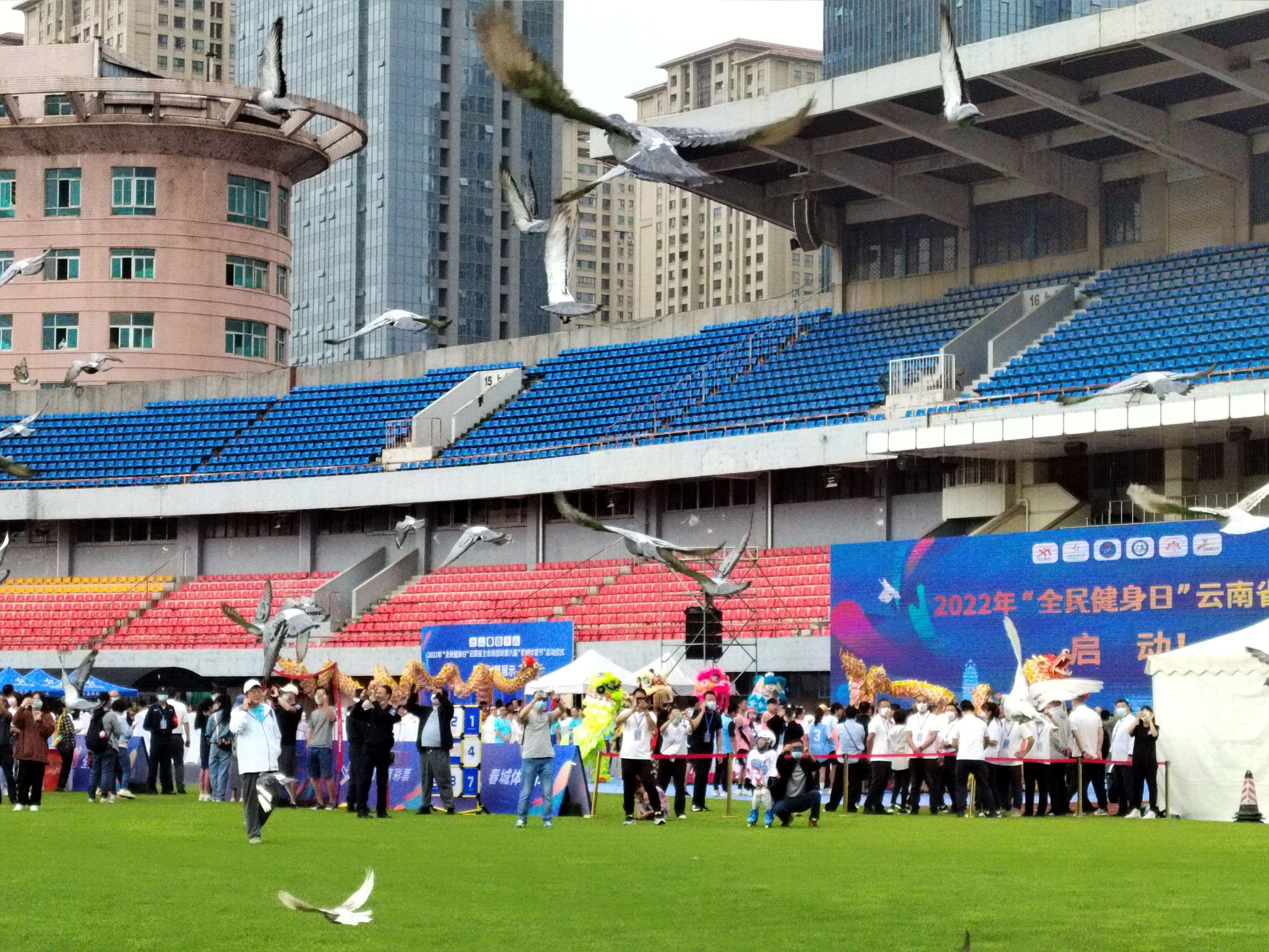 全民健身日昆明信鸽放飞1.jpg